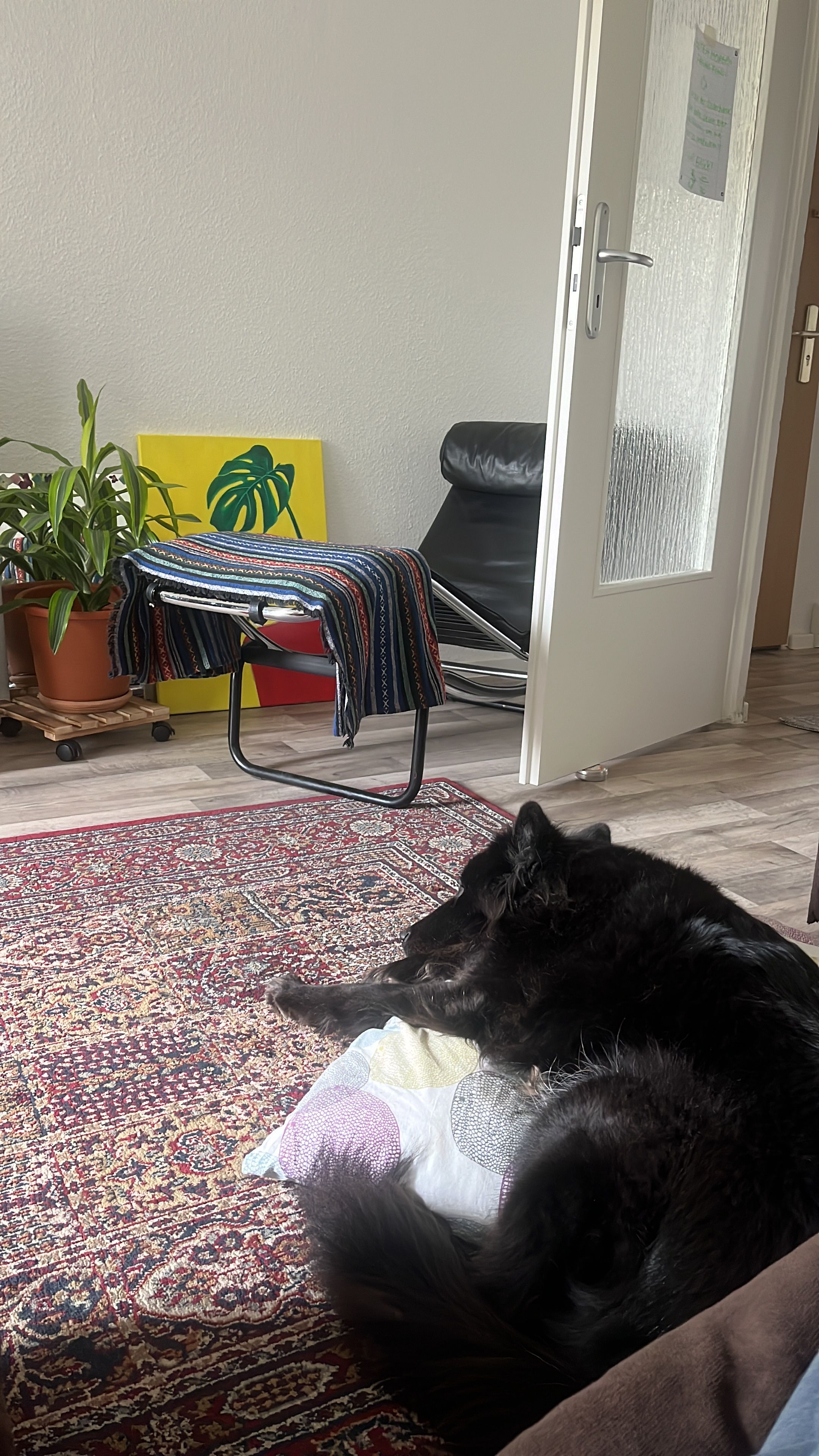 image-18