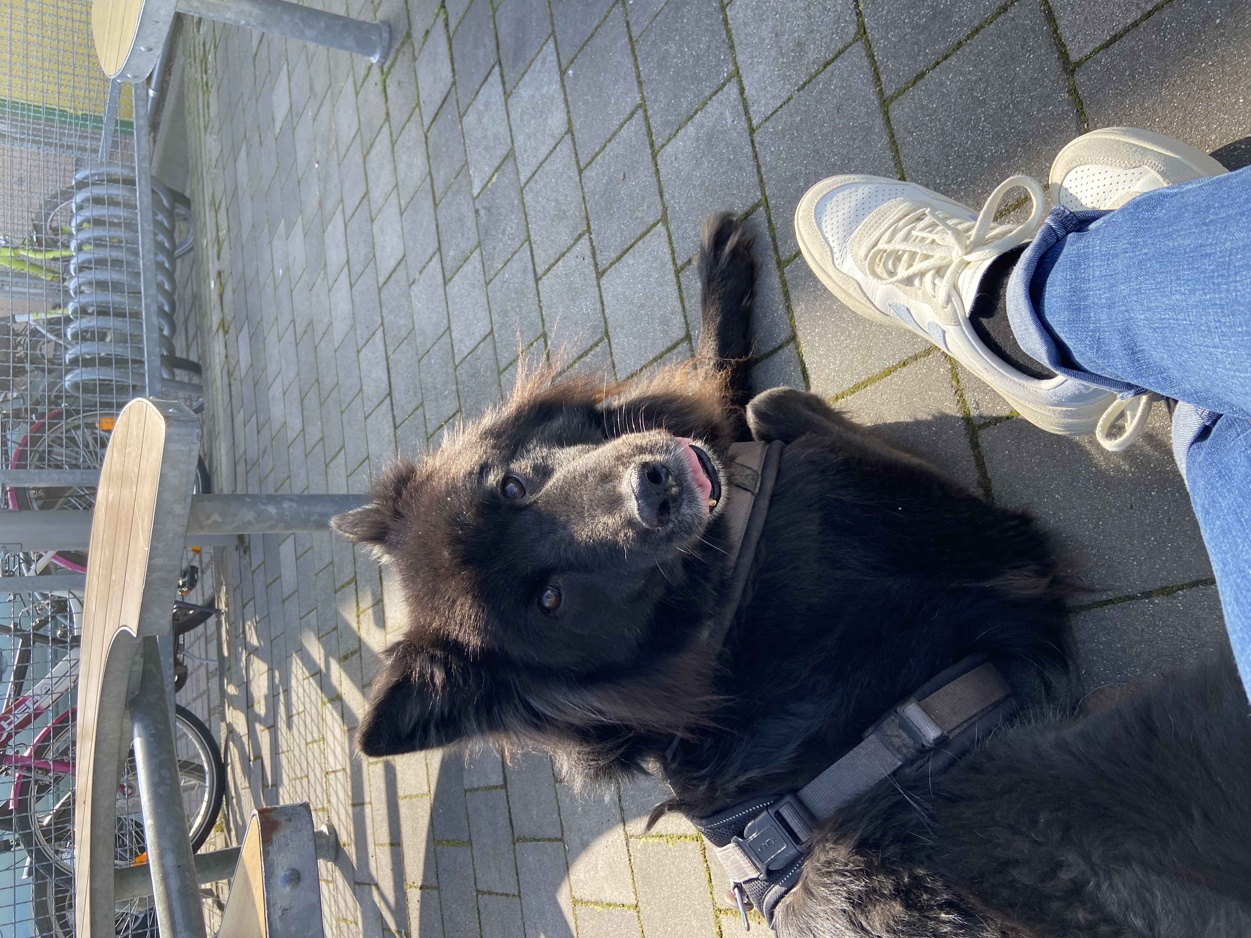 image-9