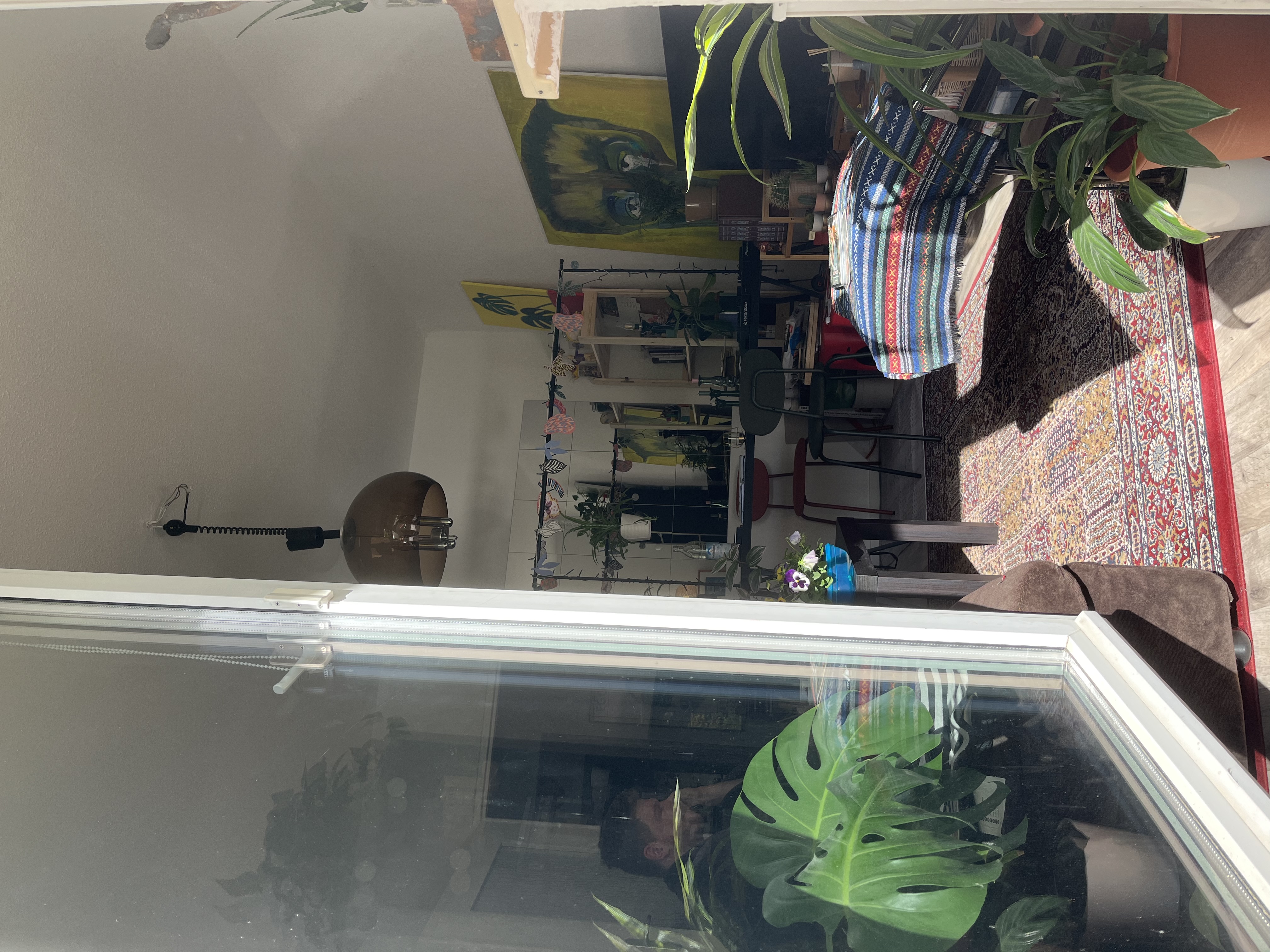 image-19