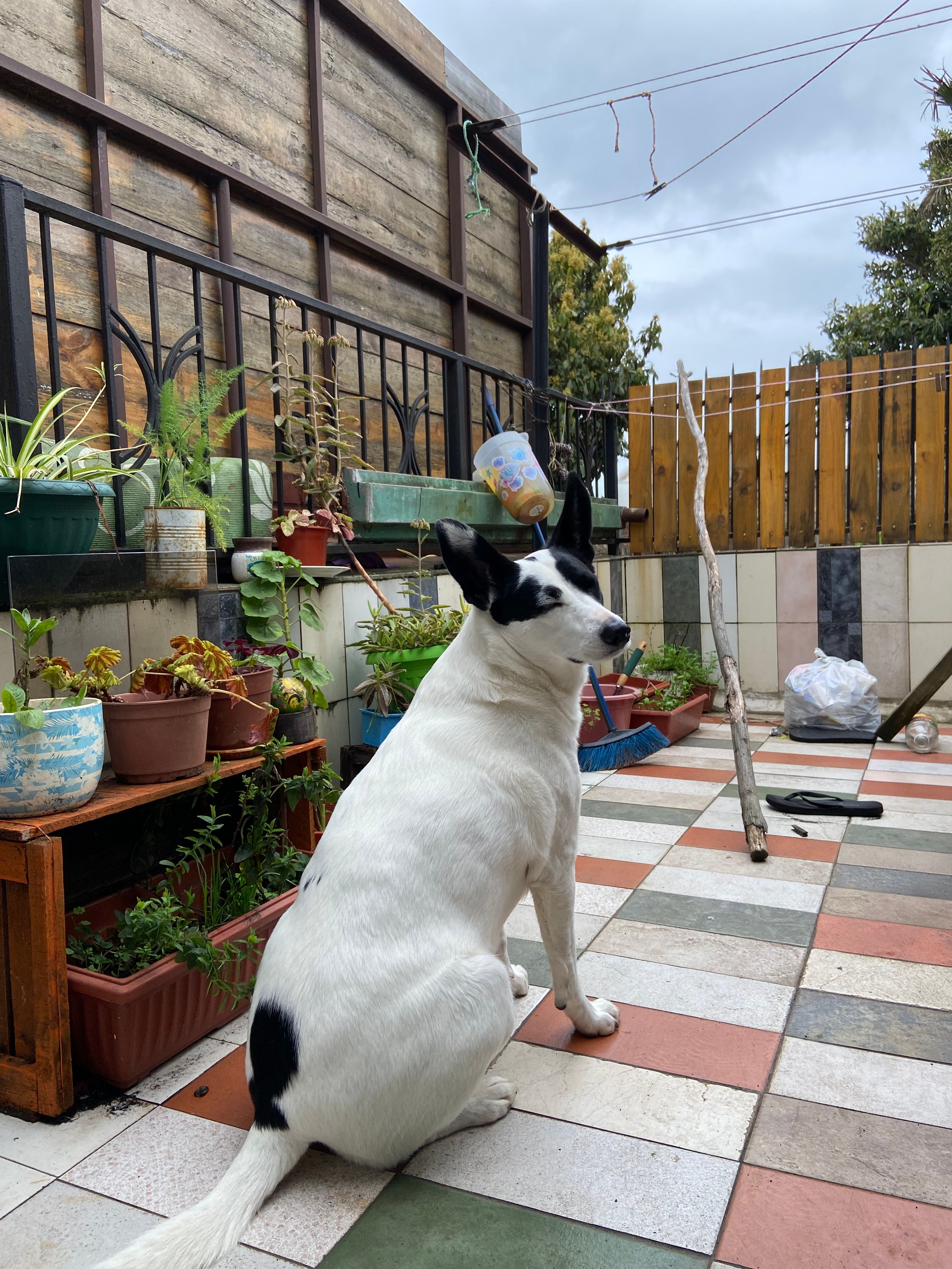 image-16