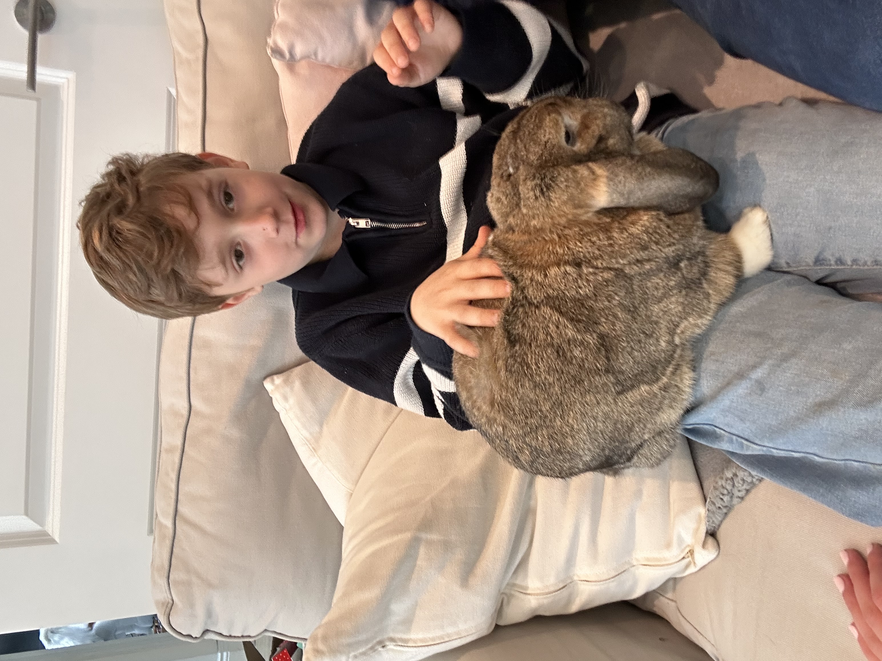 image-4