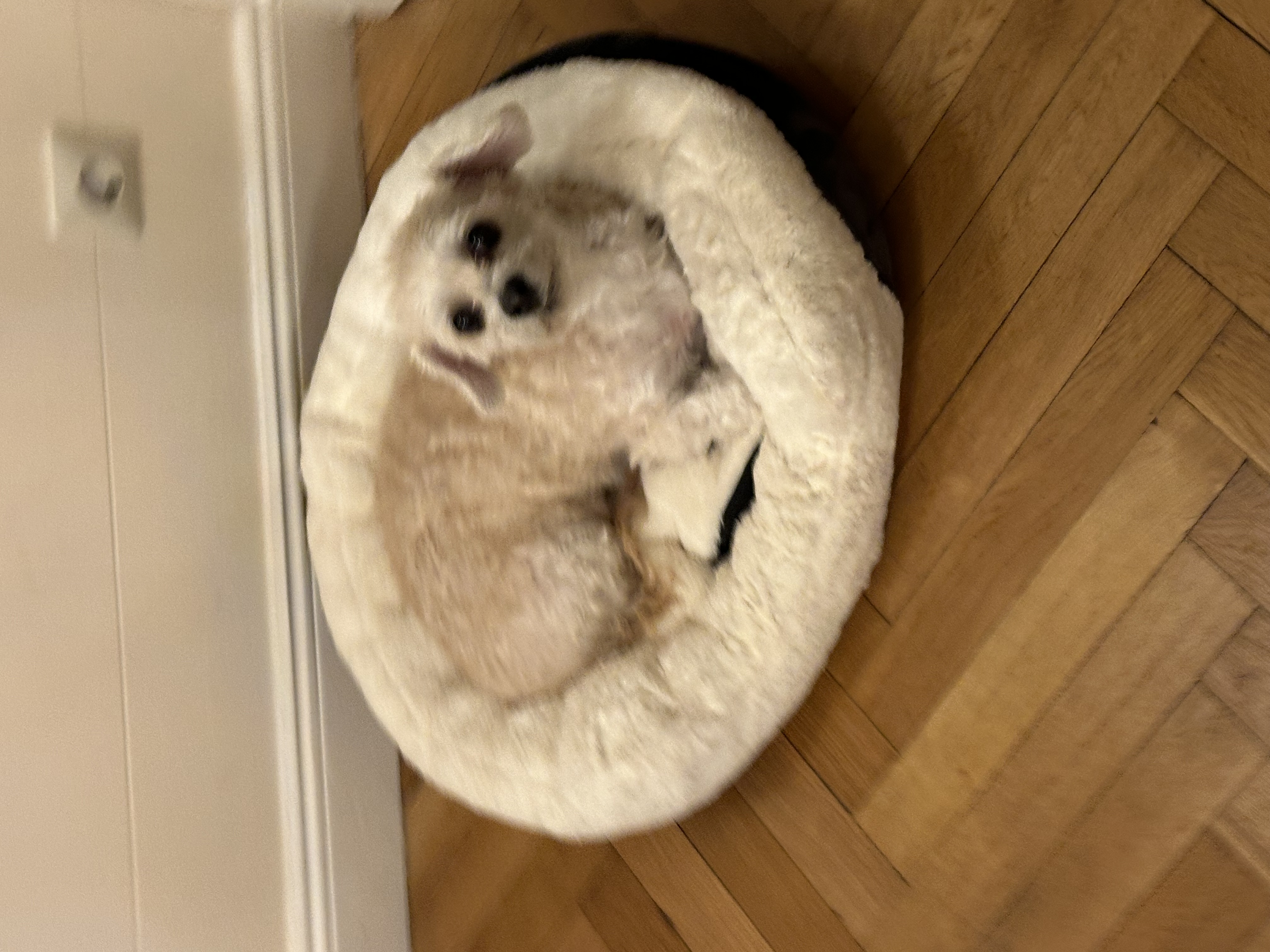 image-18