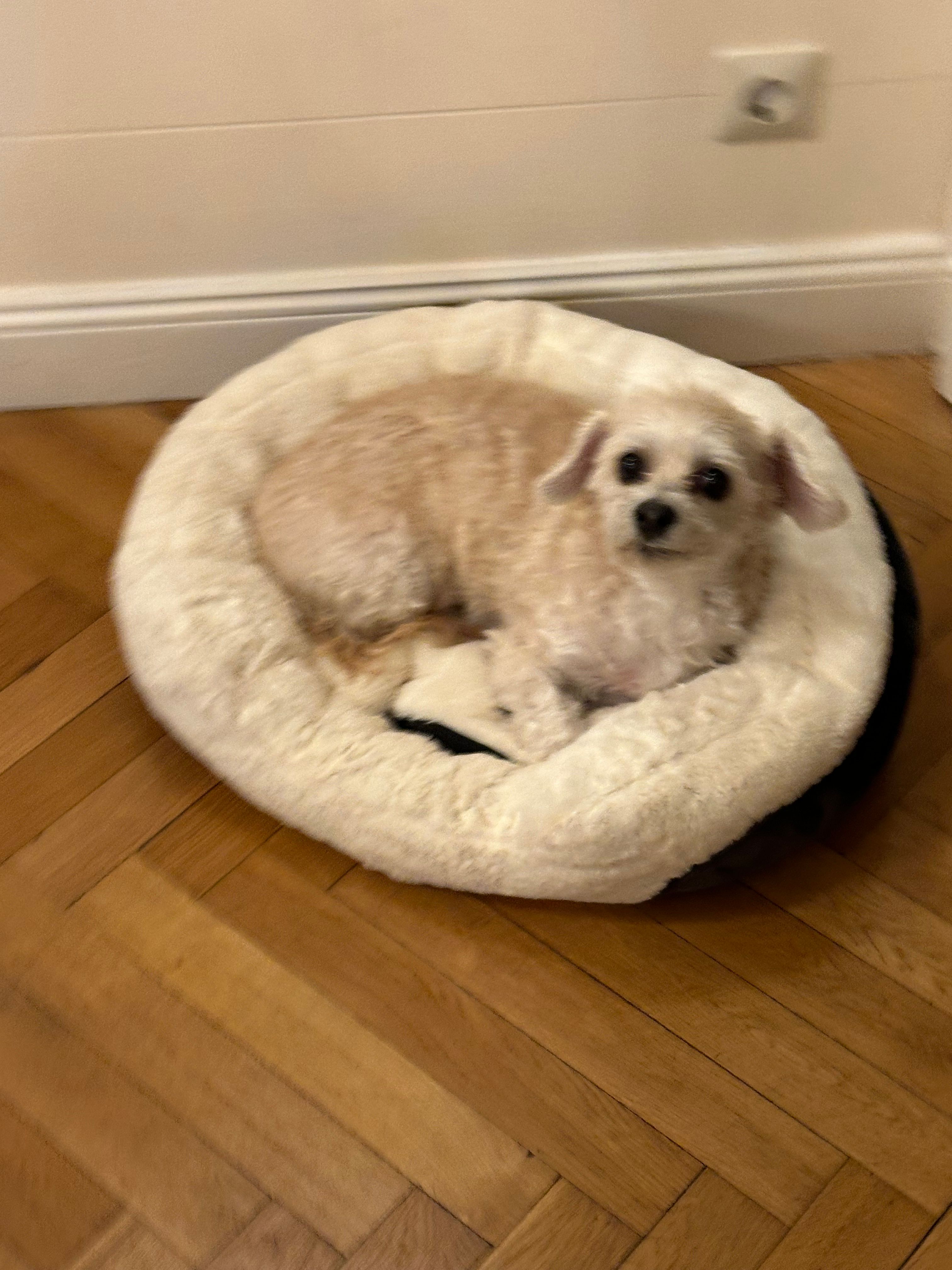 image-18