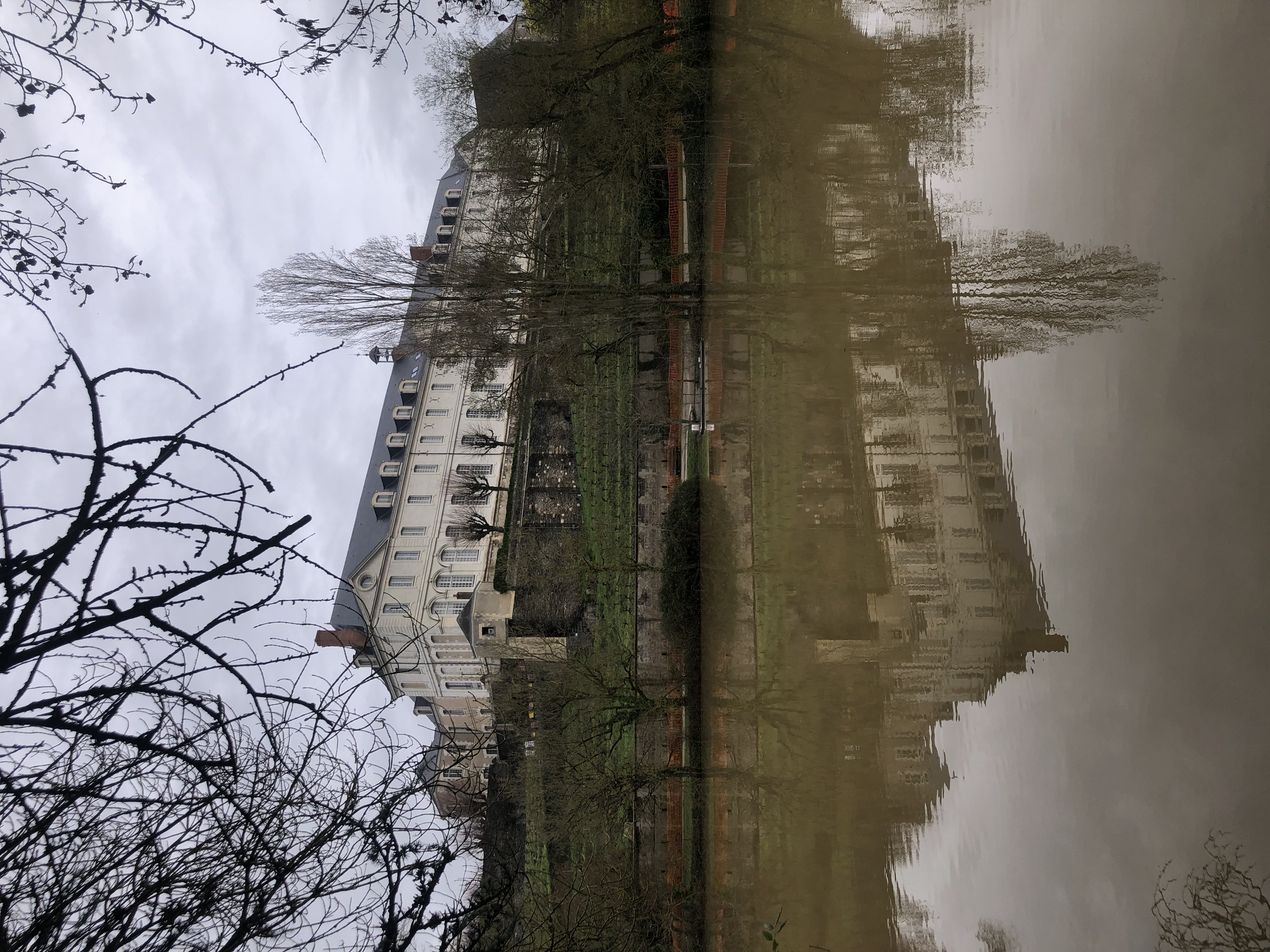 image-17