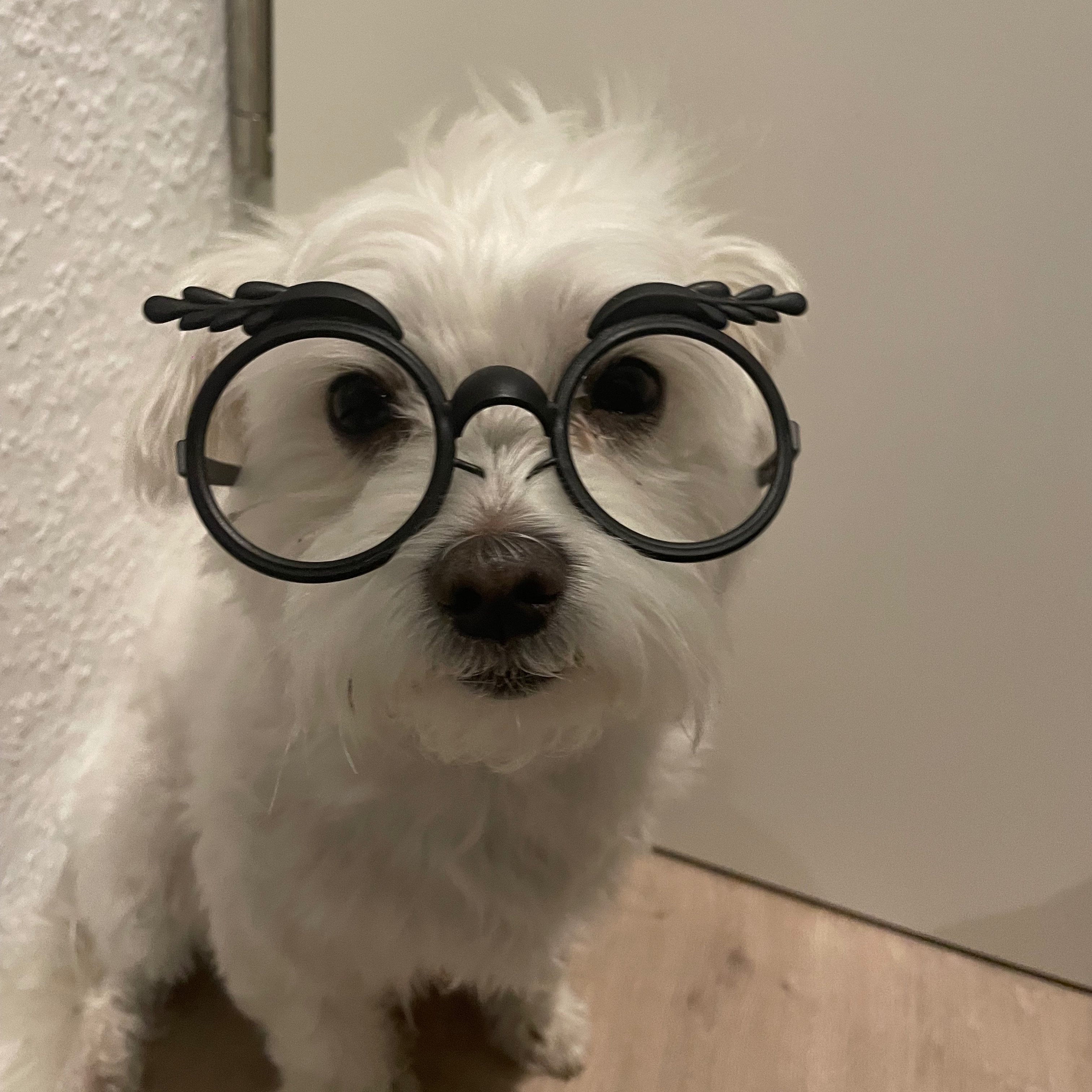 Ruffy