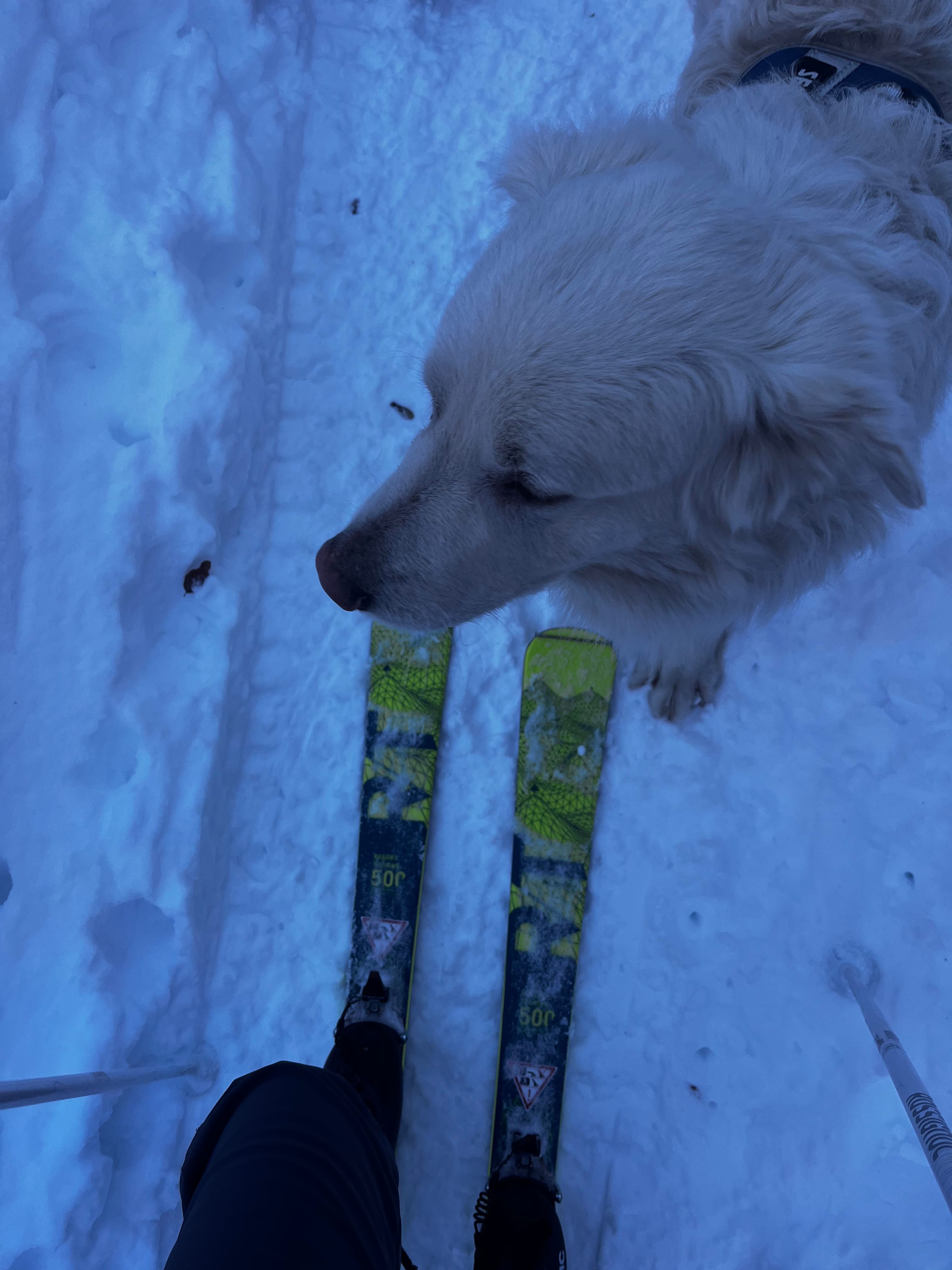image-6