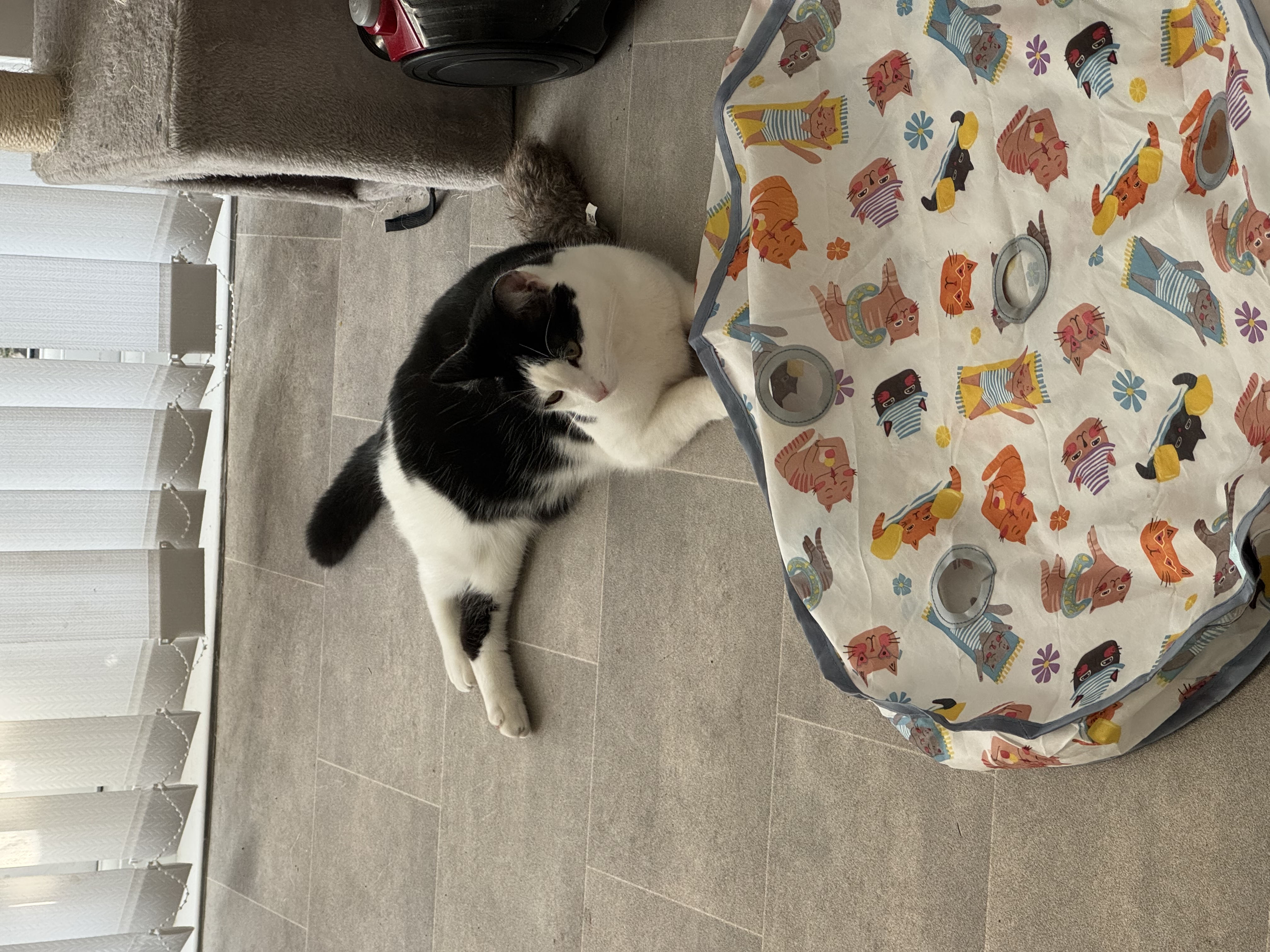 image-14