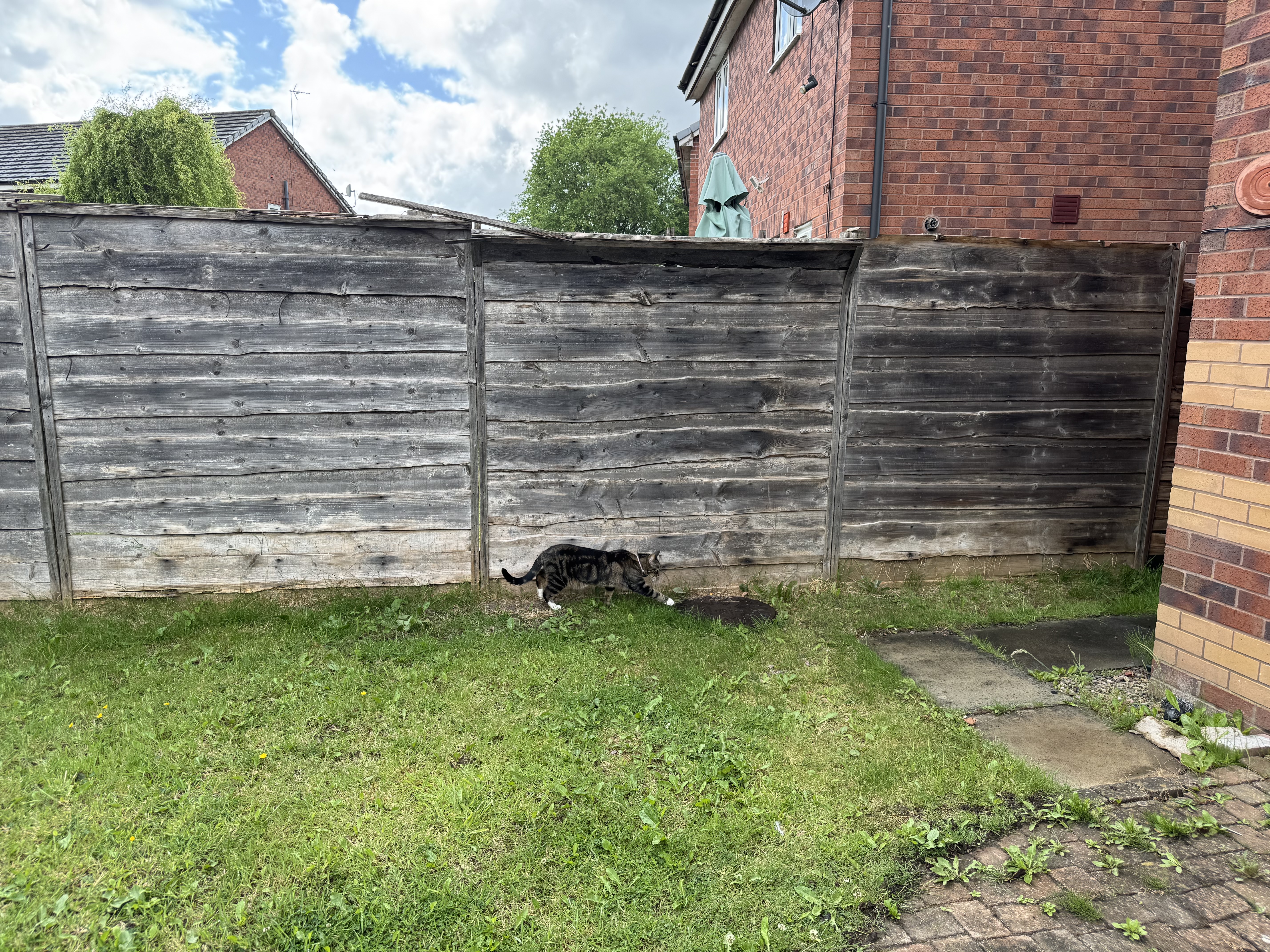 image-20