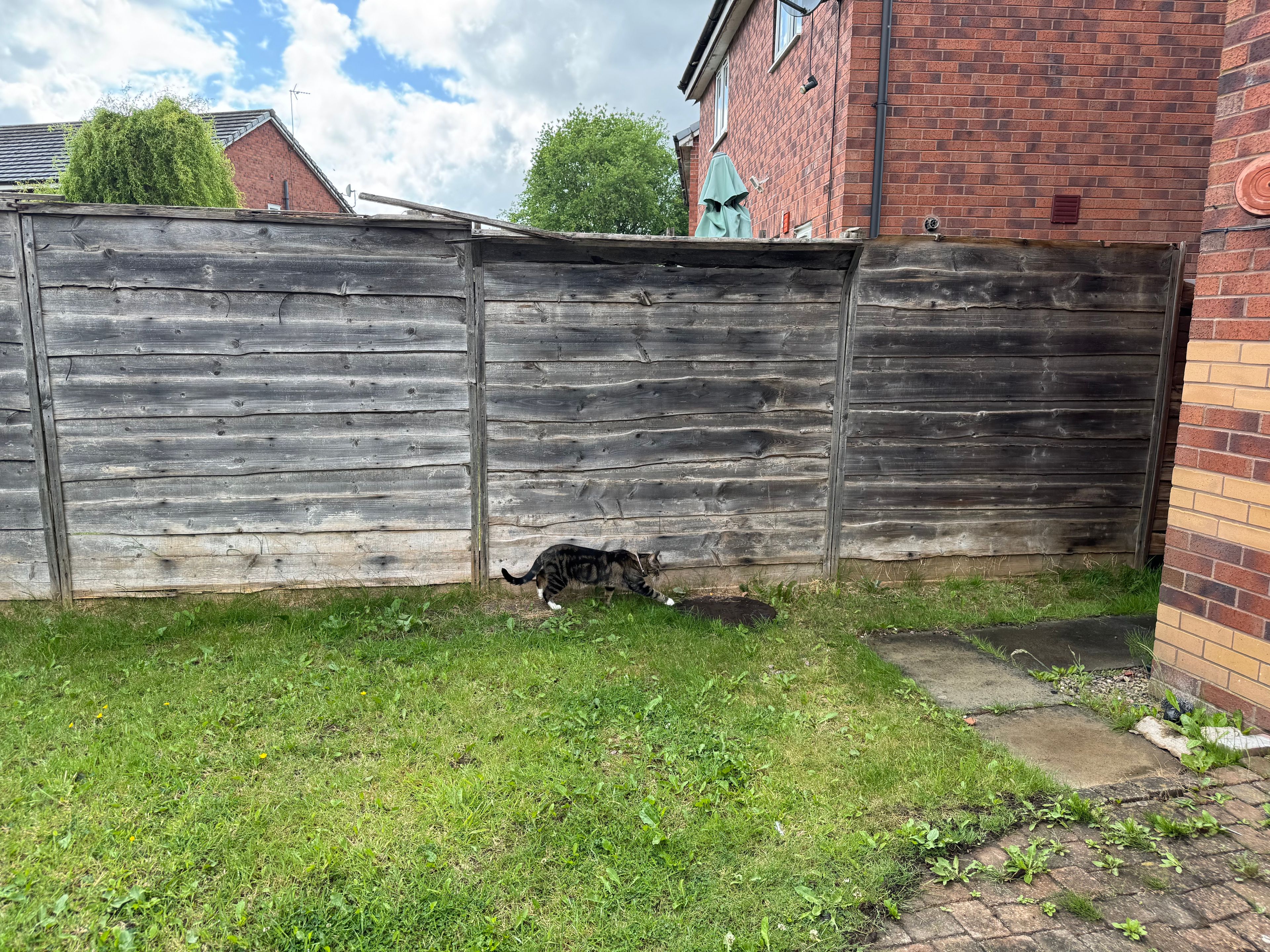 image-20