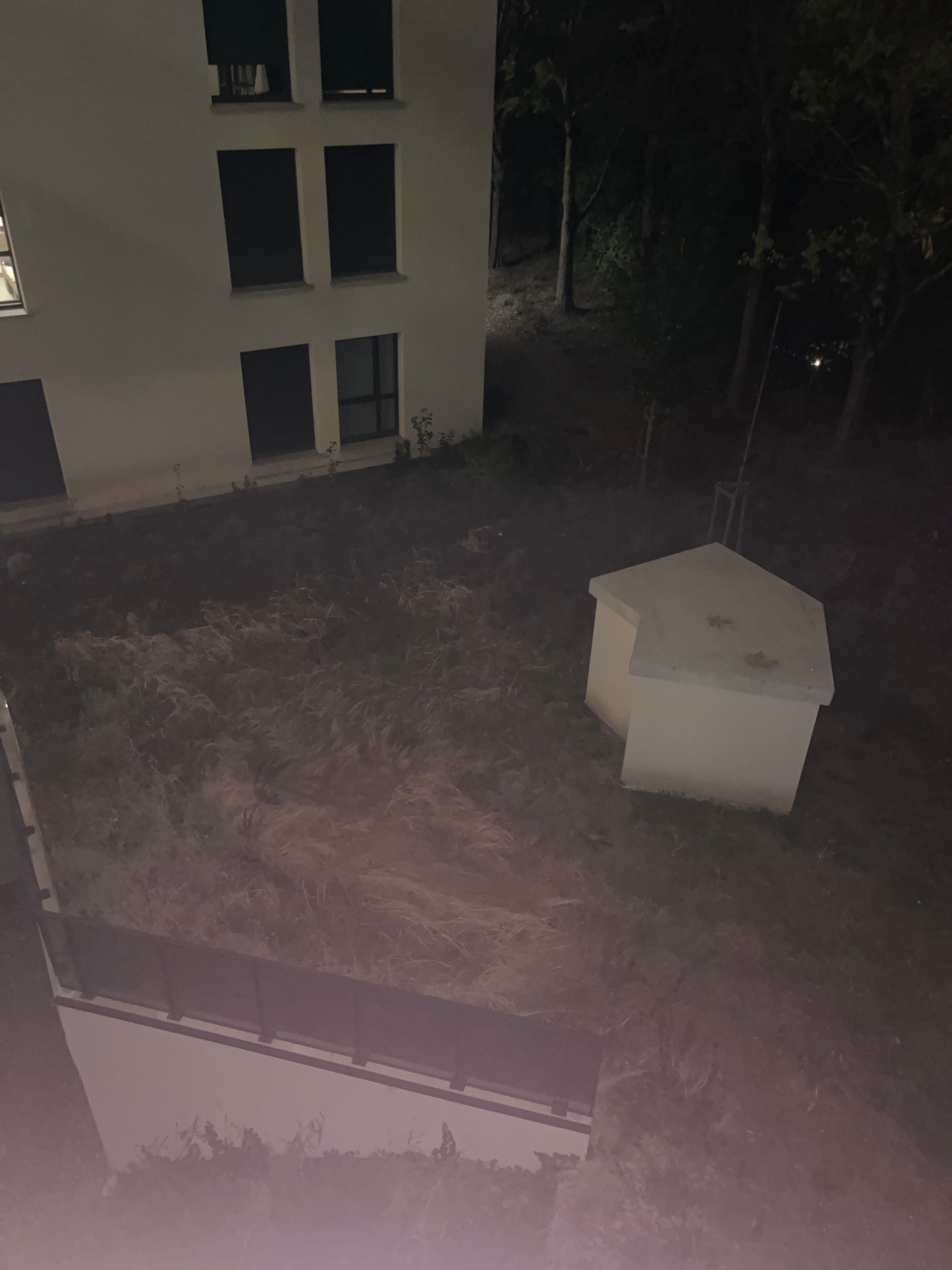 image-14