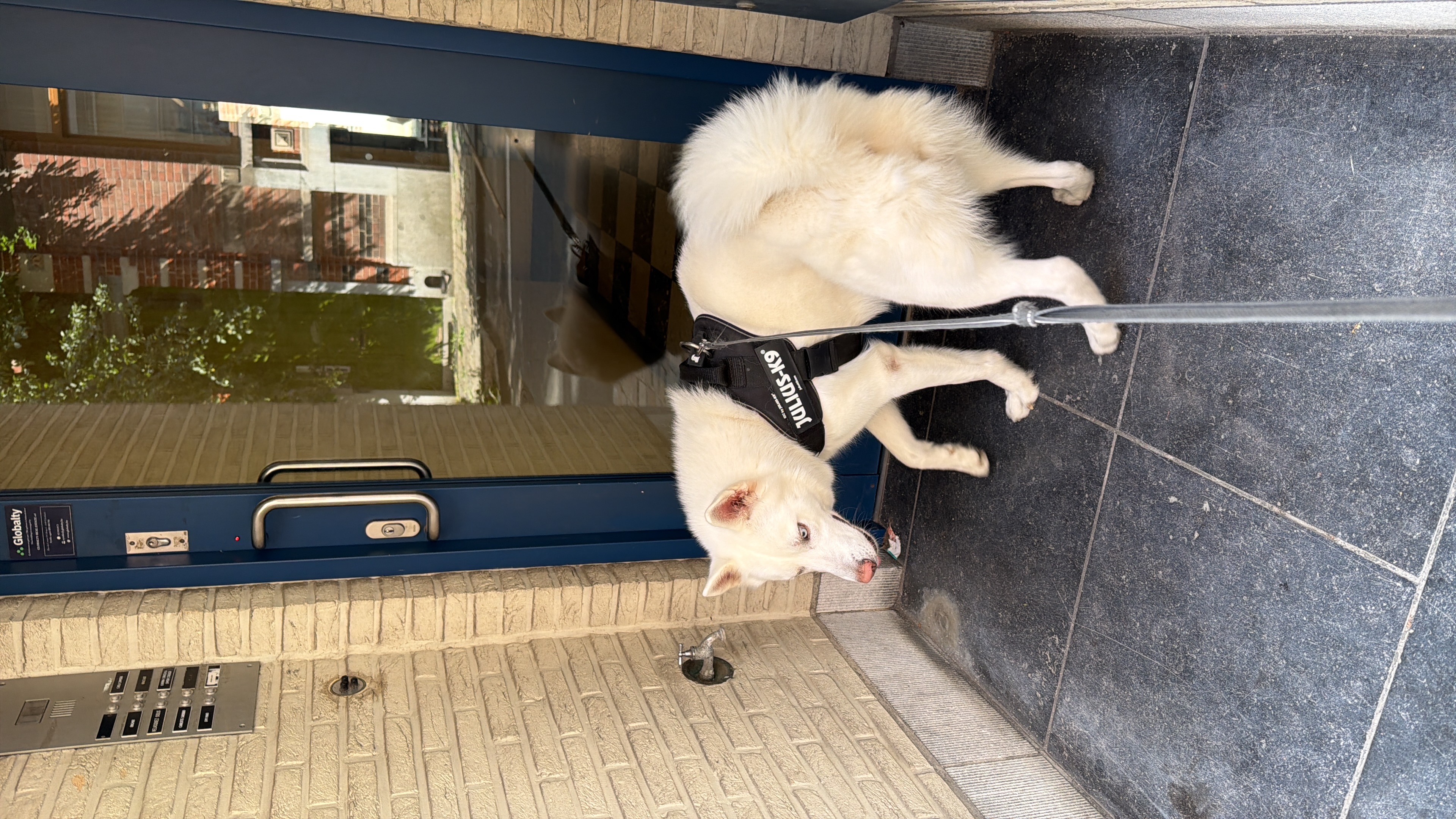 image-47