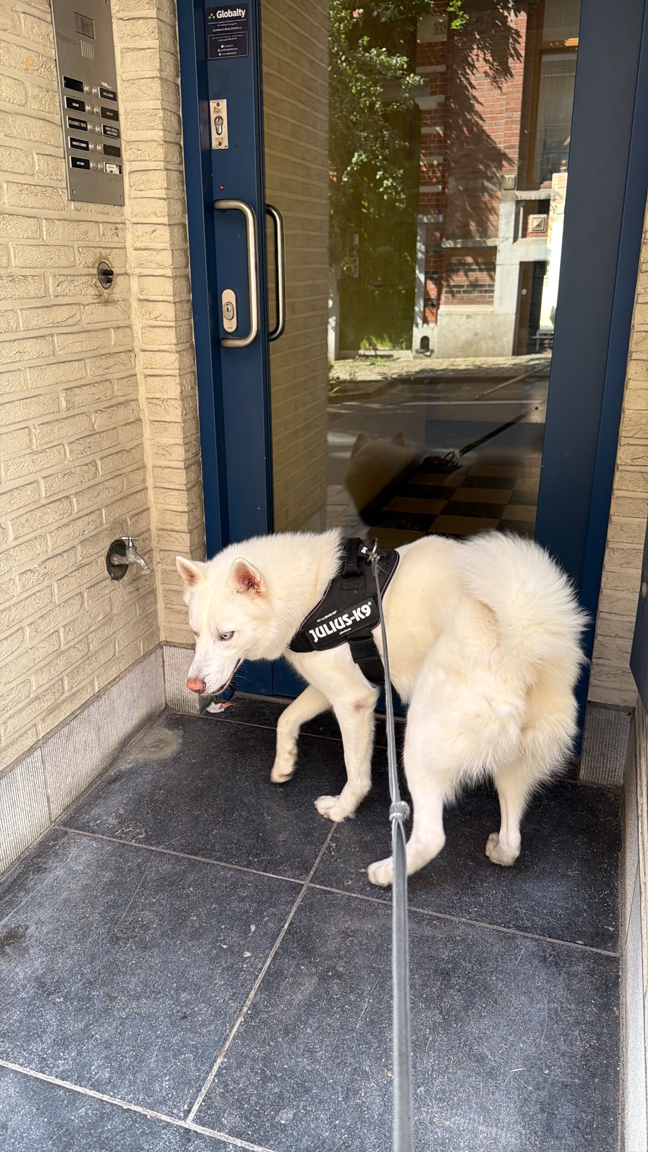 image-47