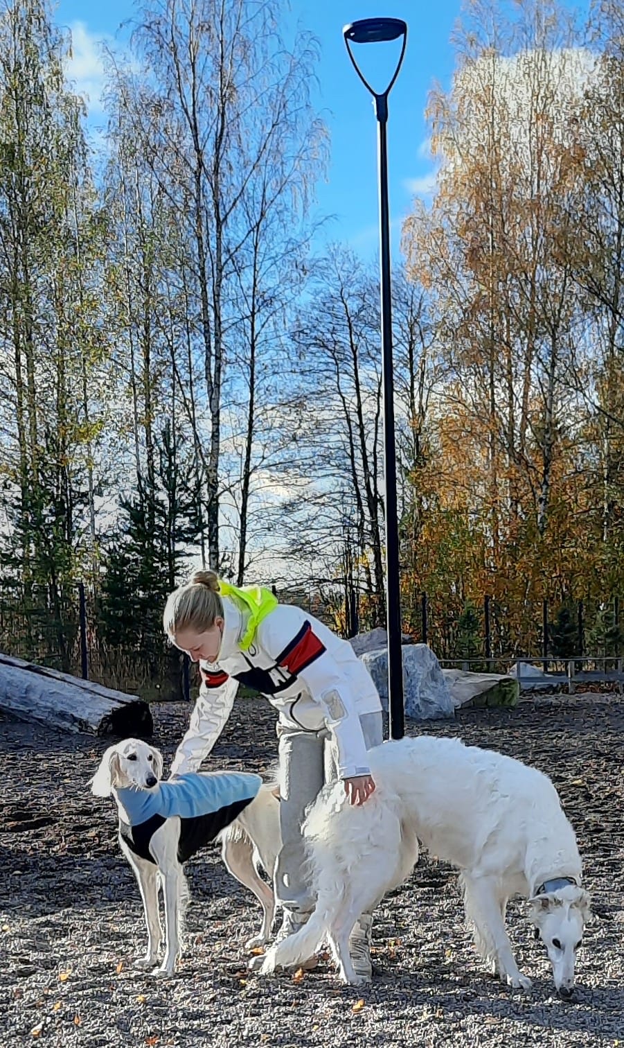 image-15
