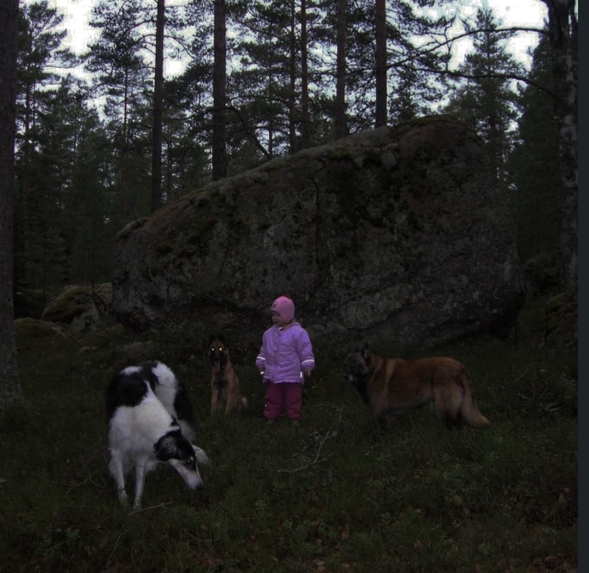 image-7
