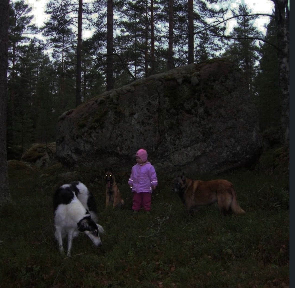 image-7
