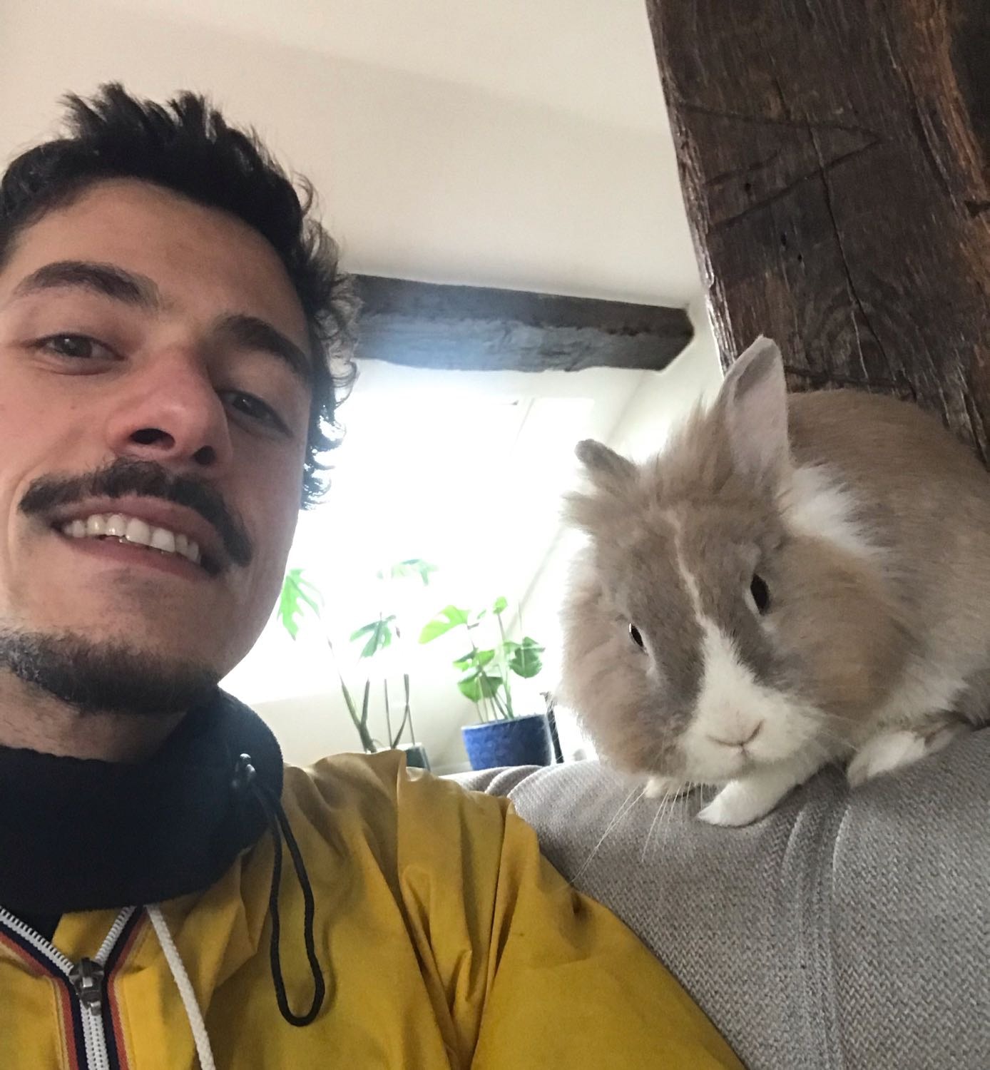 image-6