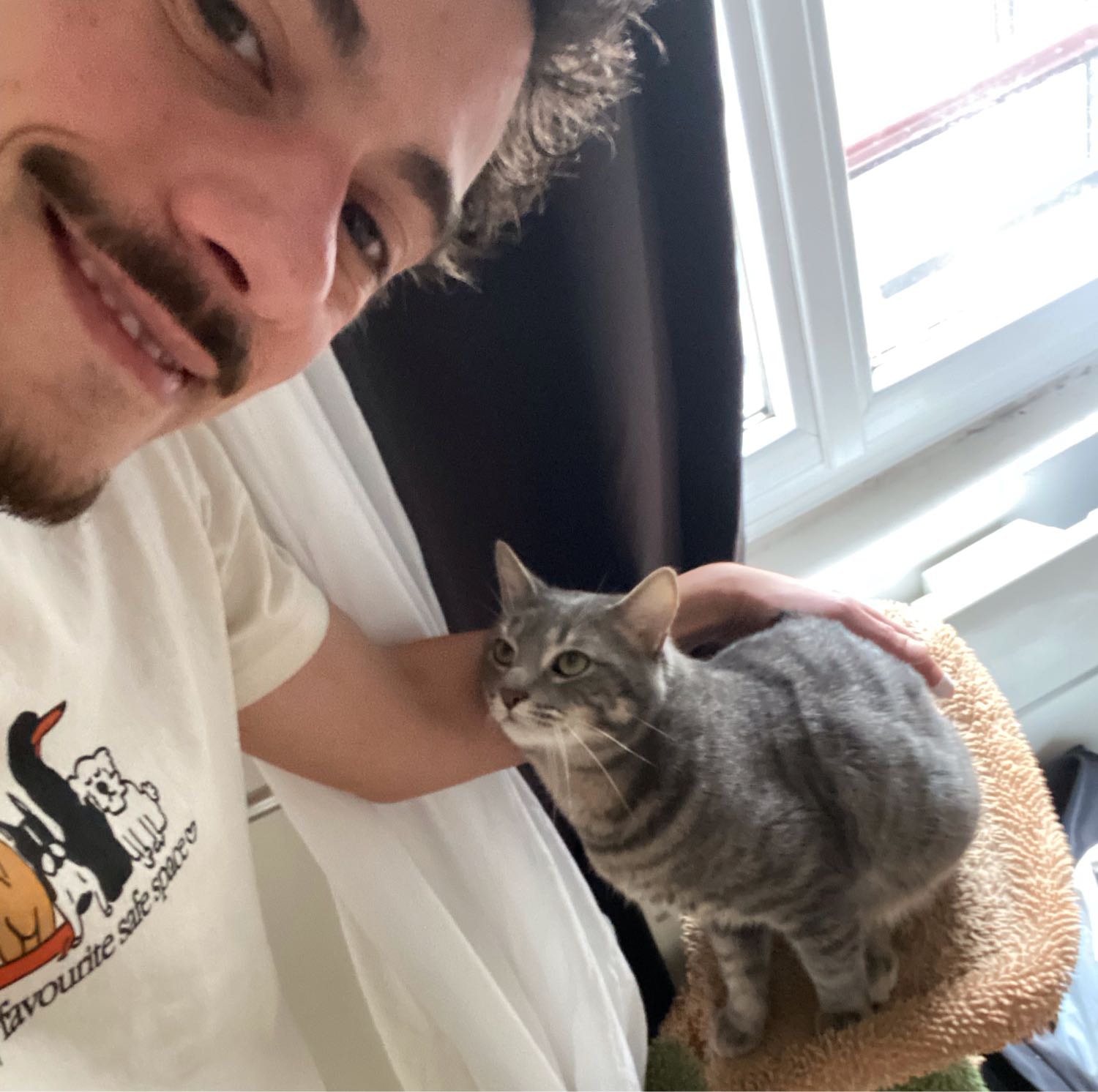 image-8