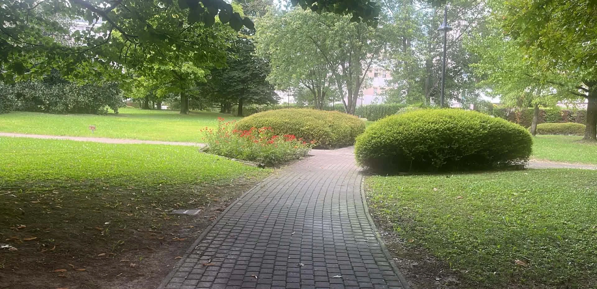 image-19