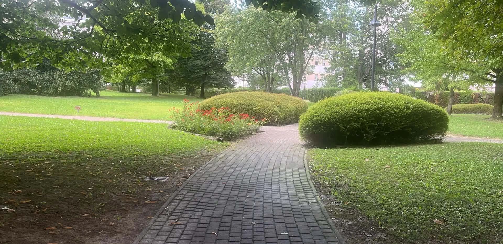 image-19