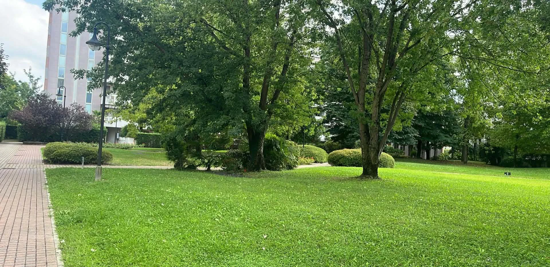 image-18