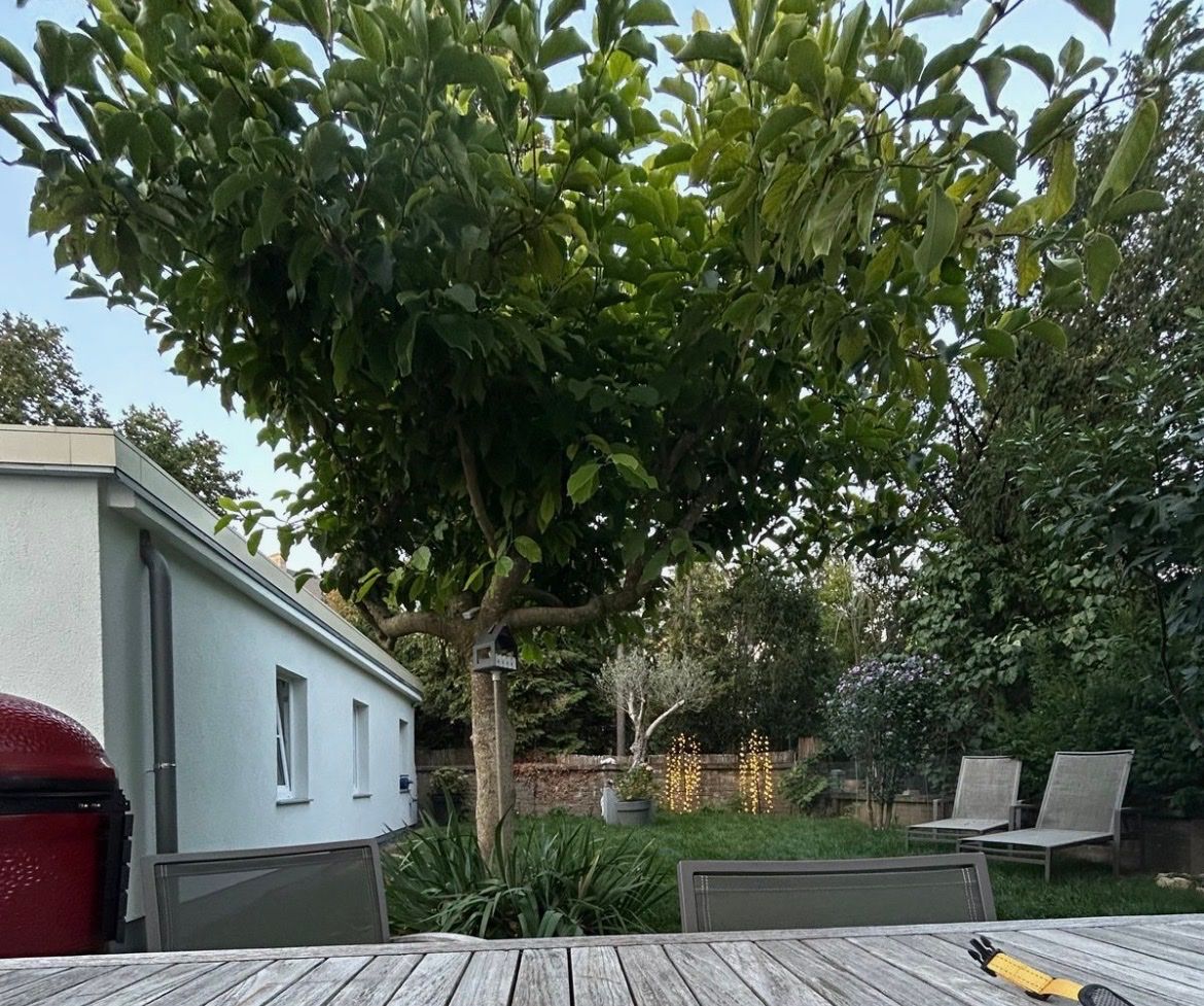 image-19