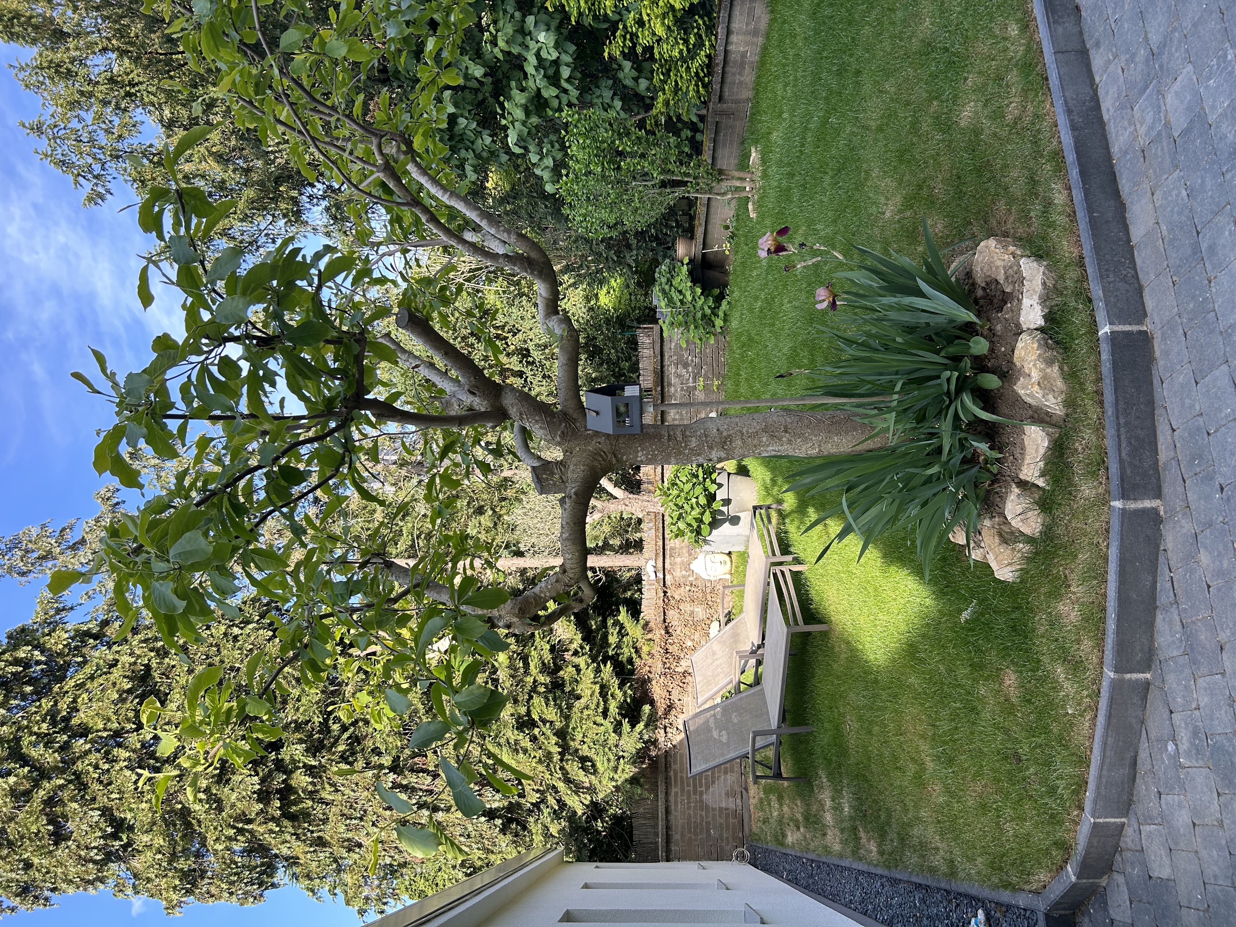 image-18