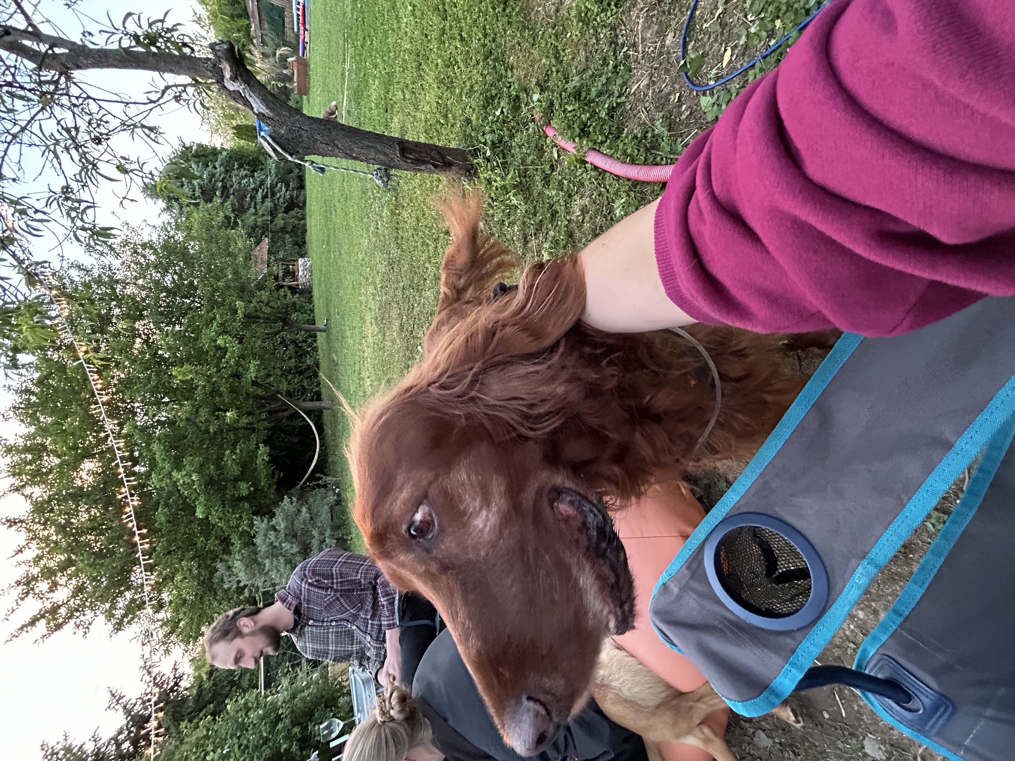 image-6