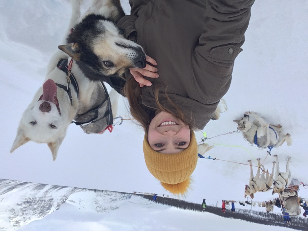 image-7