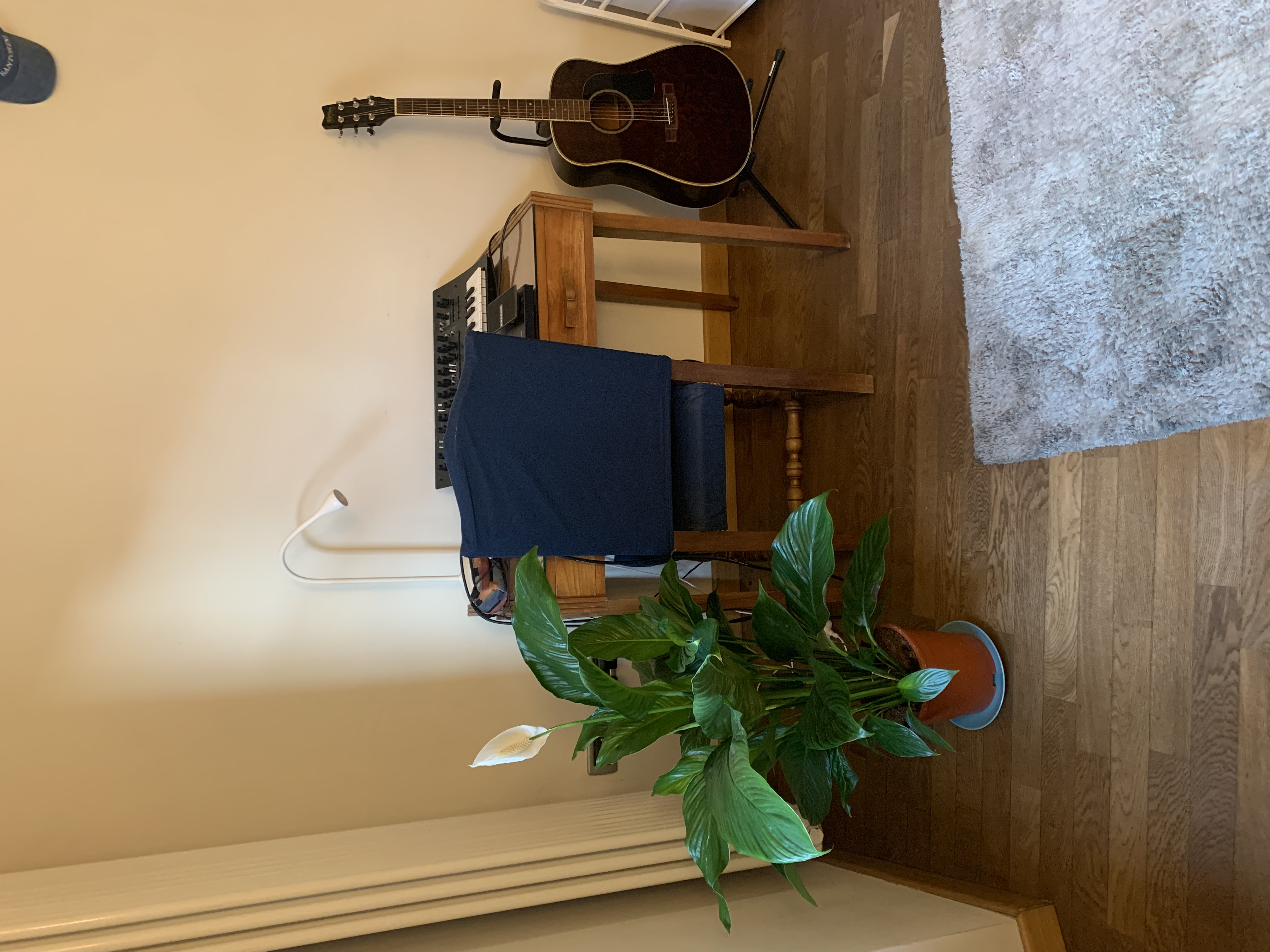 image-17
