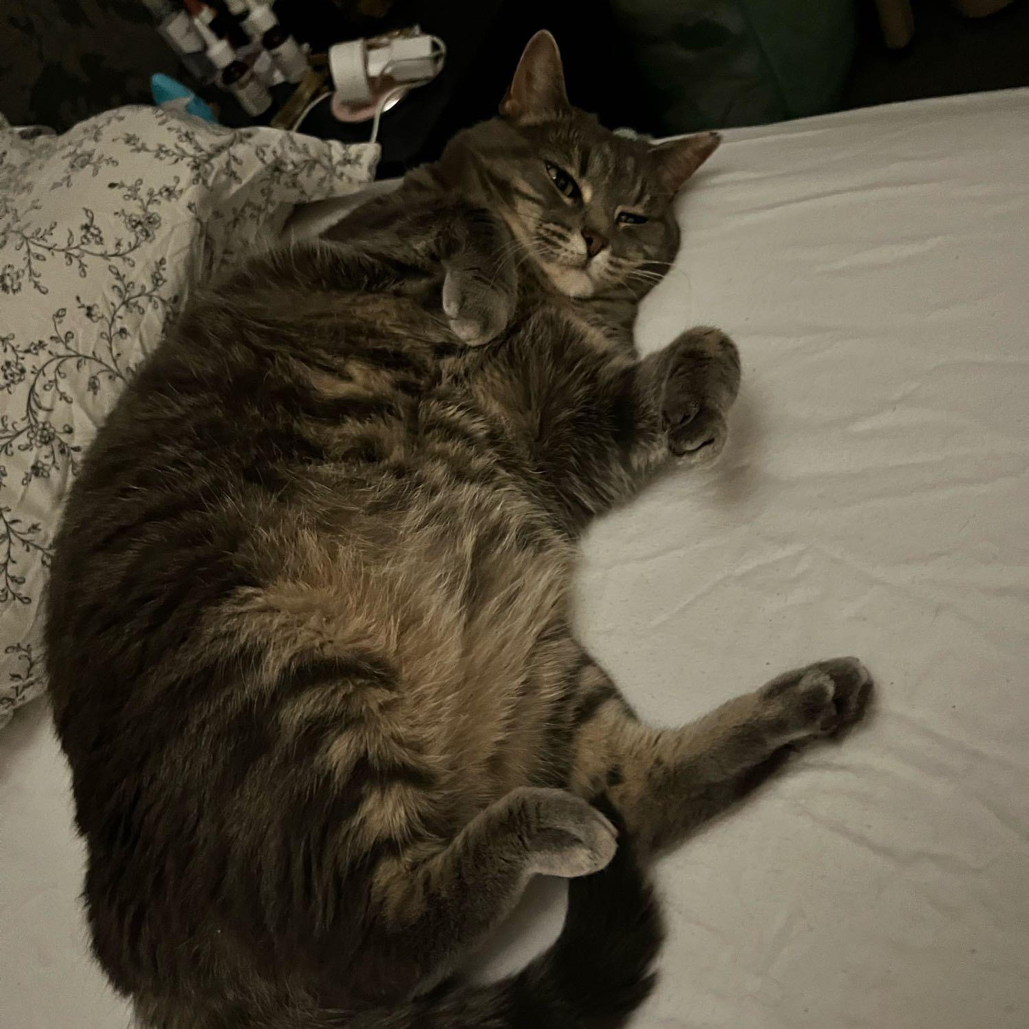 Bella