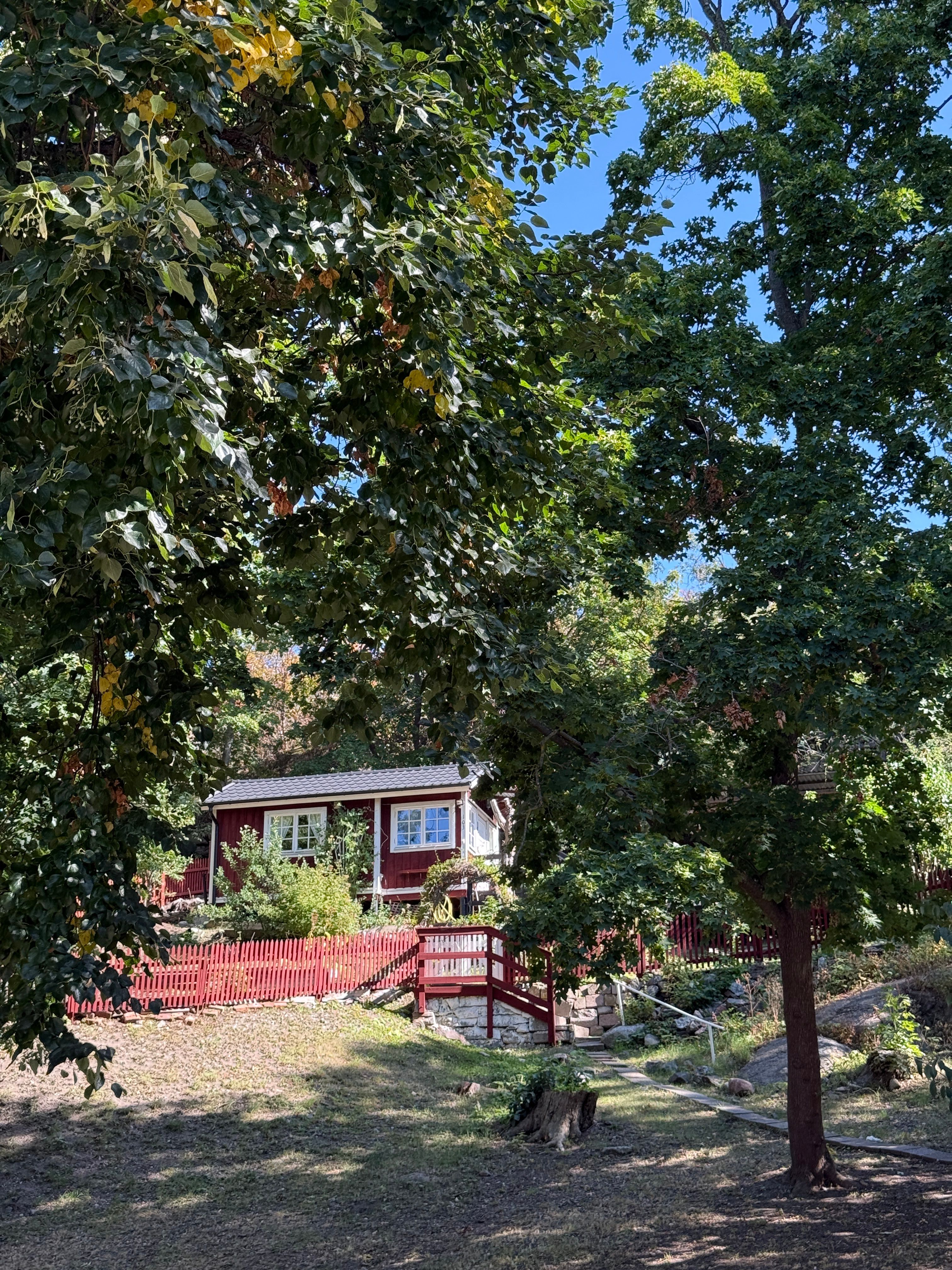 image-18