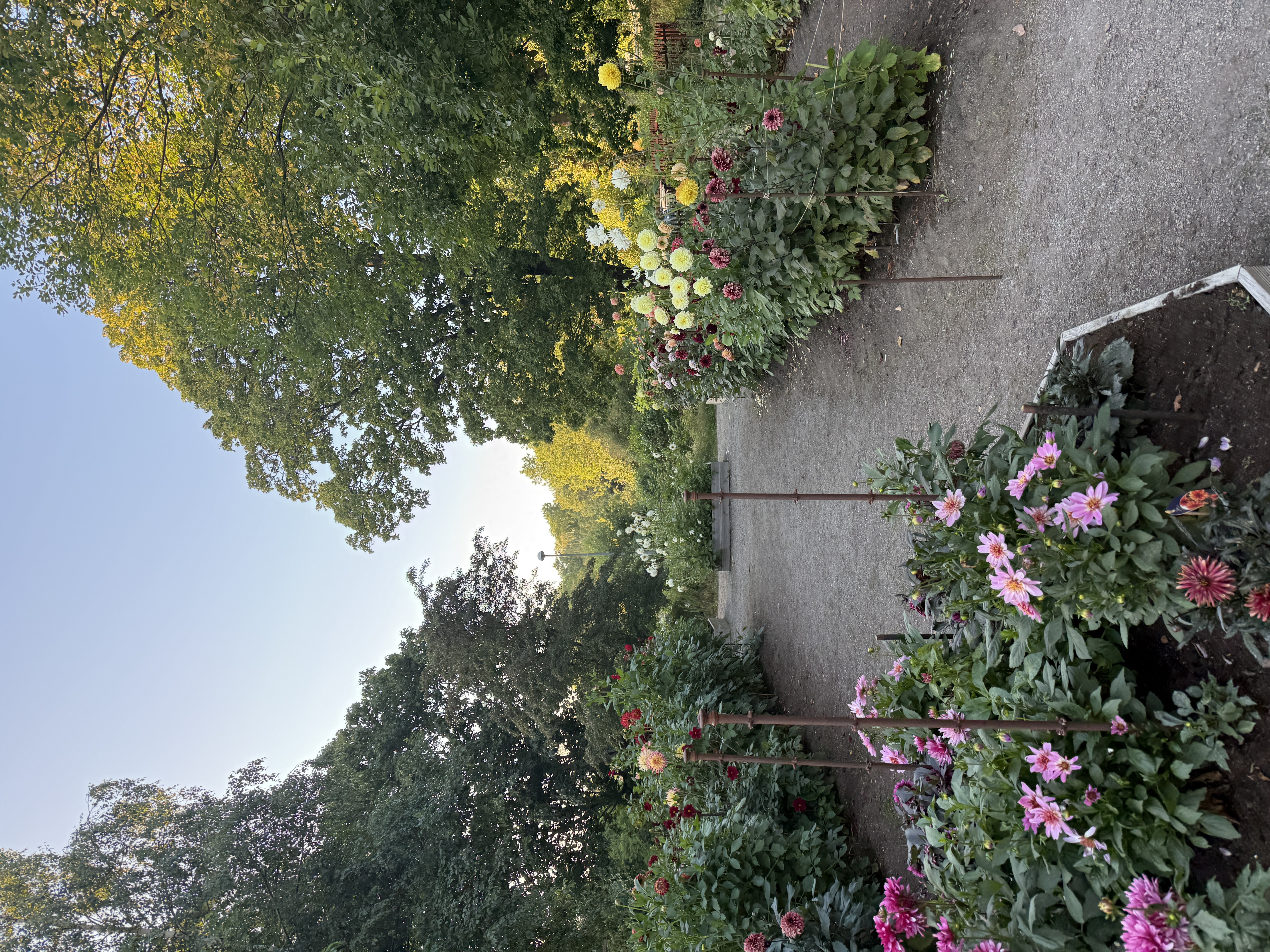 image-17