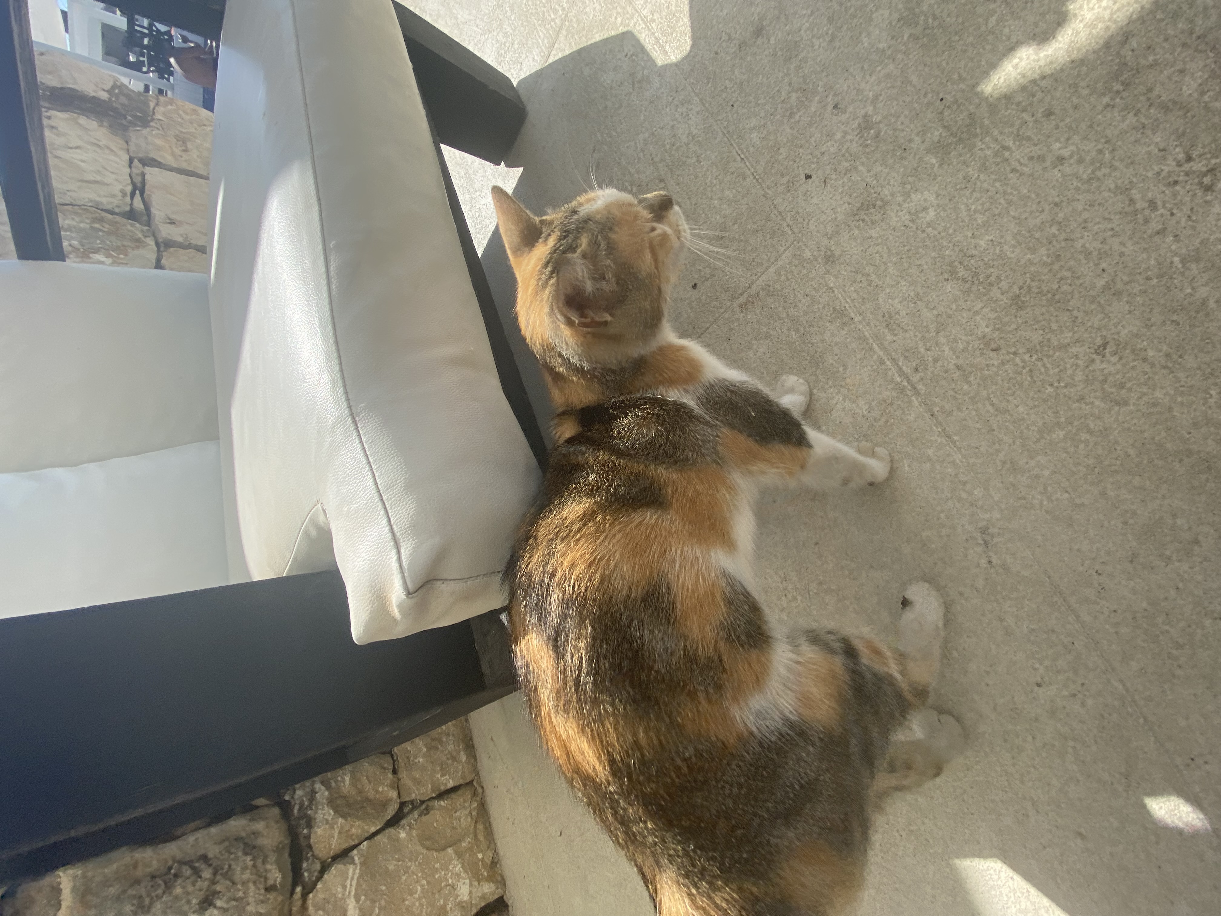 image-12