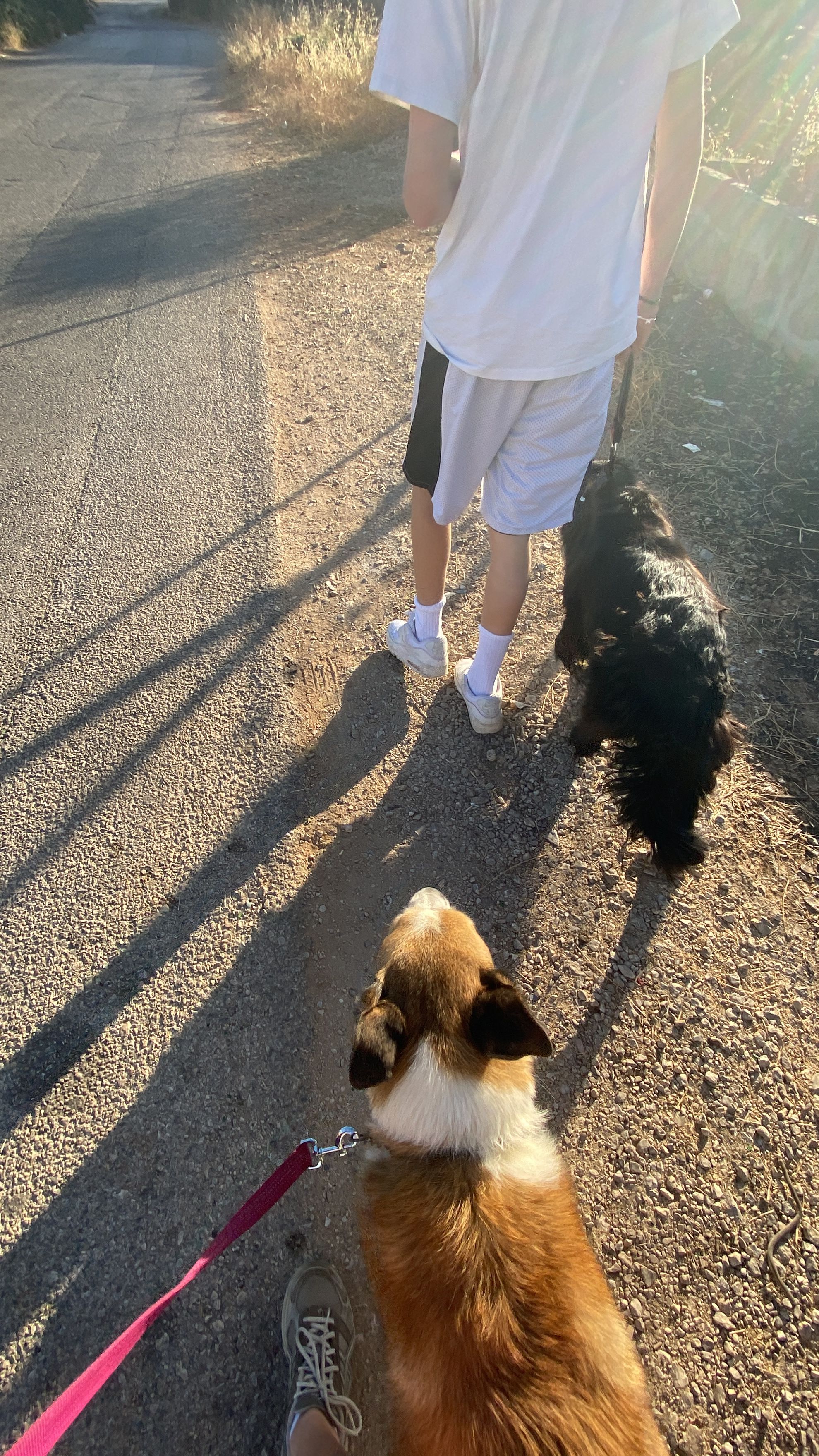 image-11