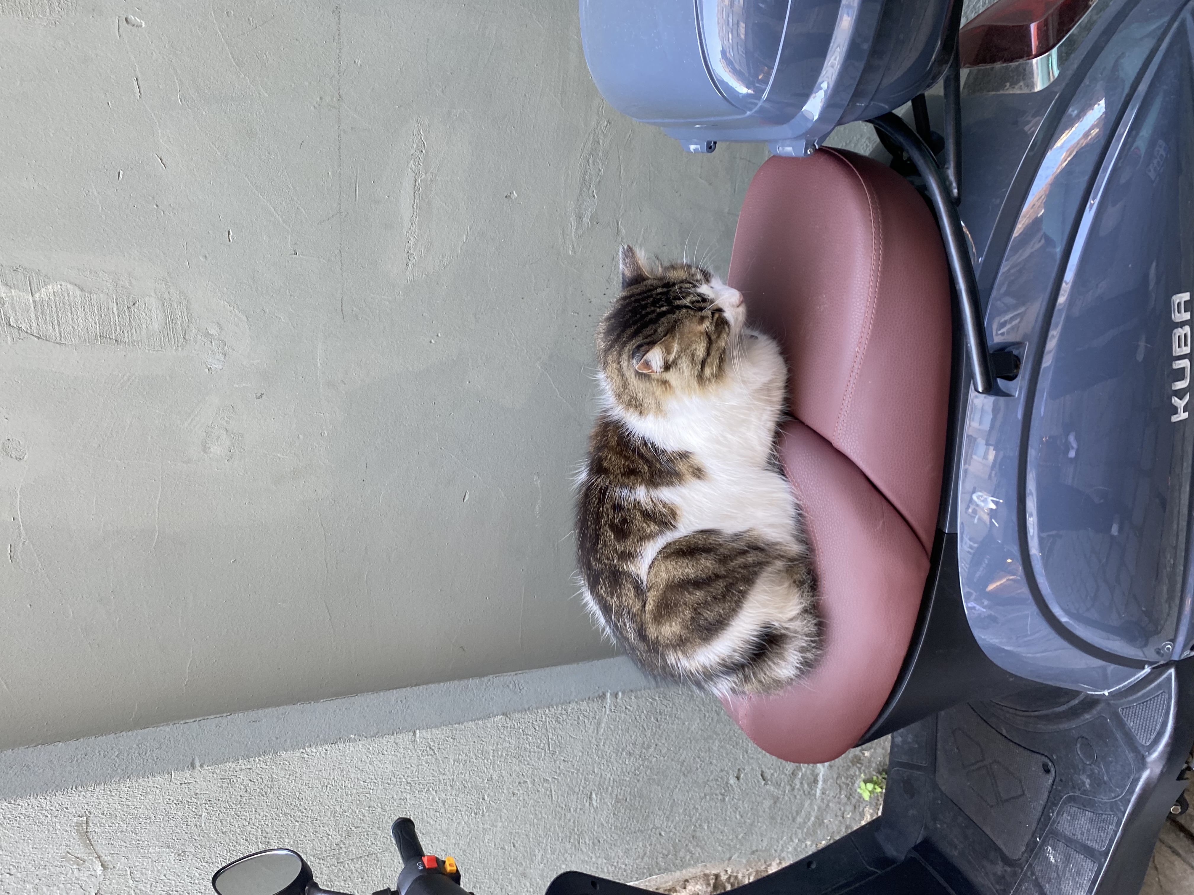 image-16
