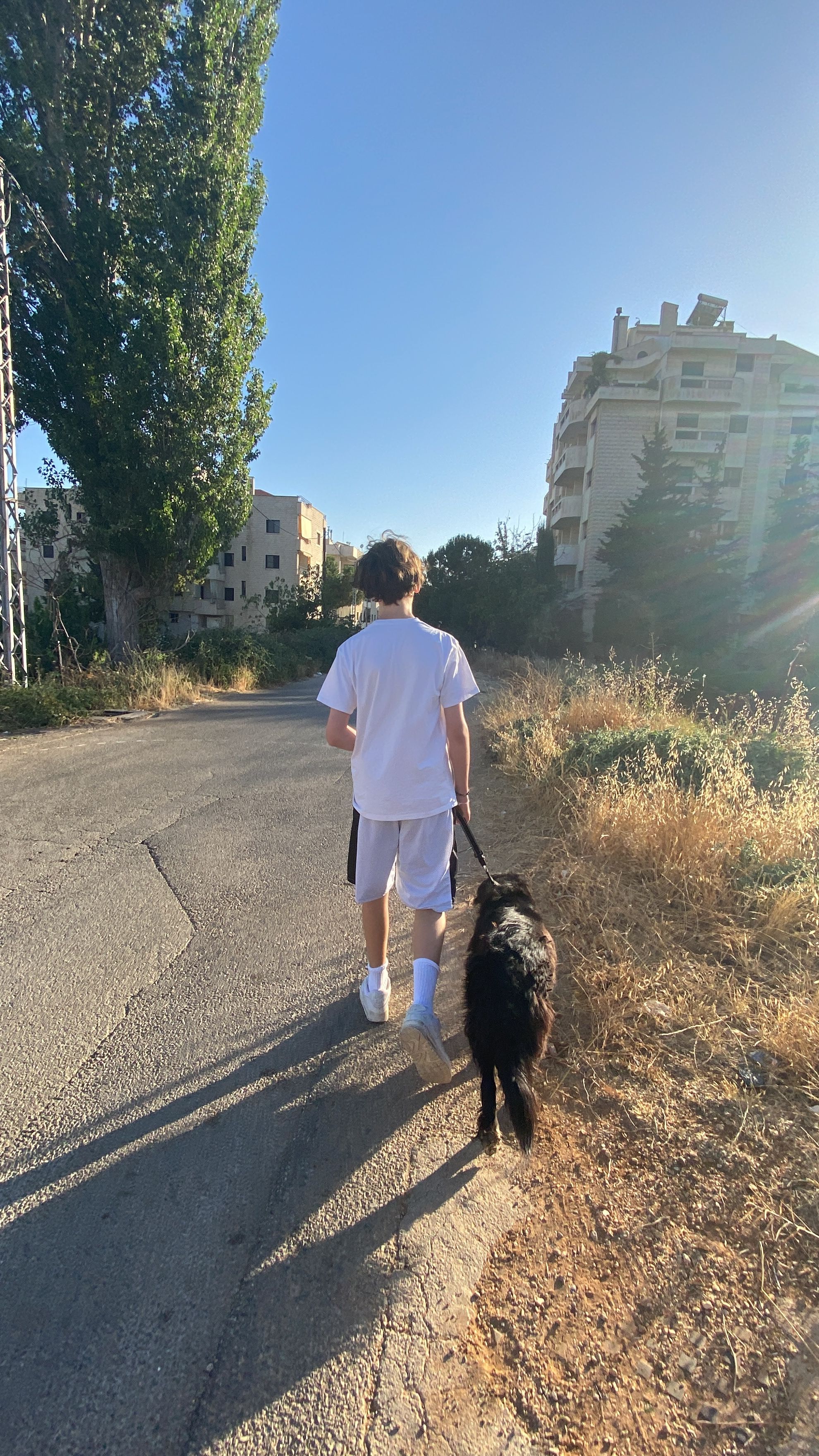 image-7