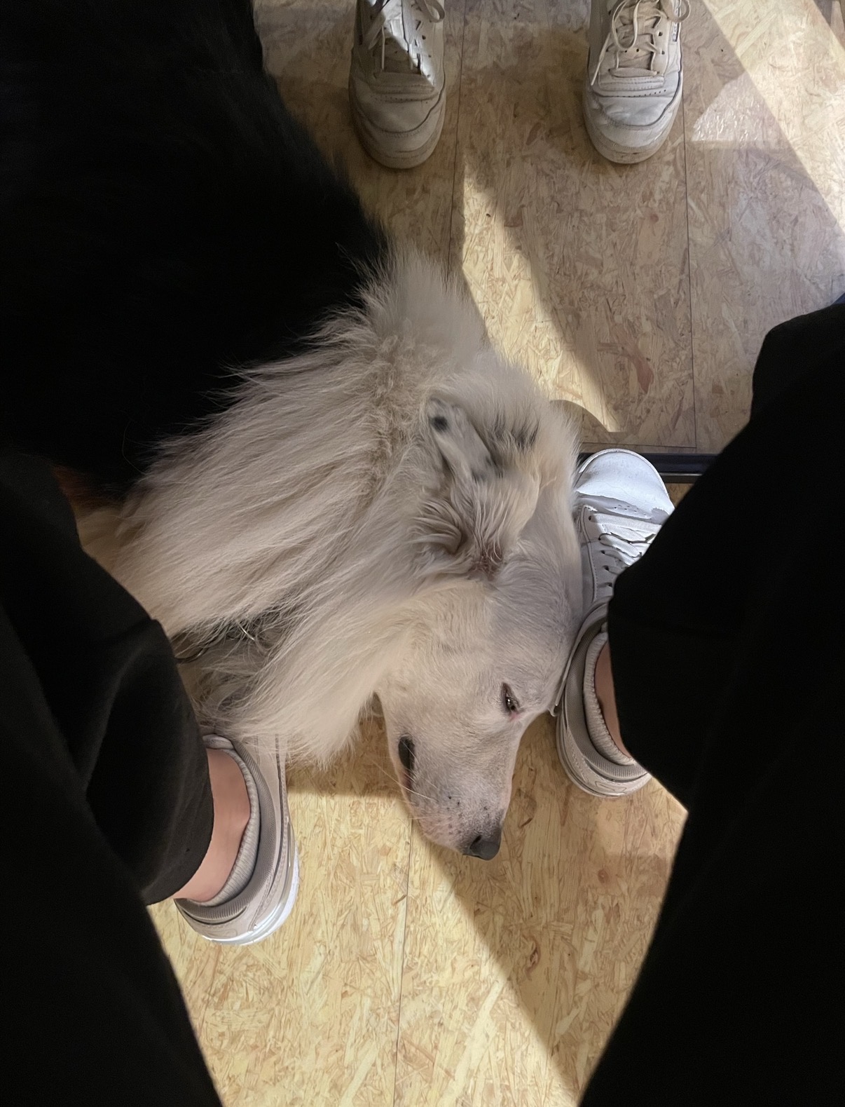 image-8