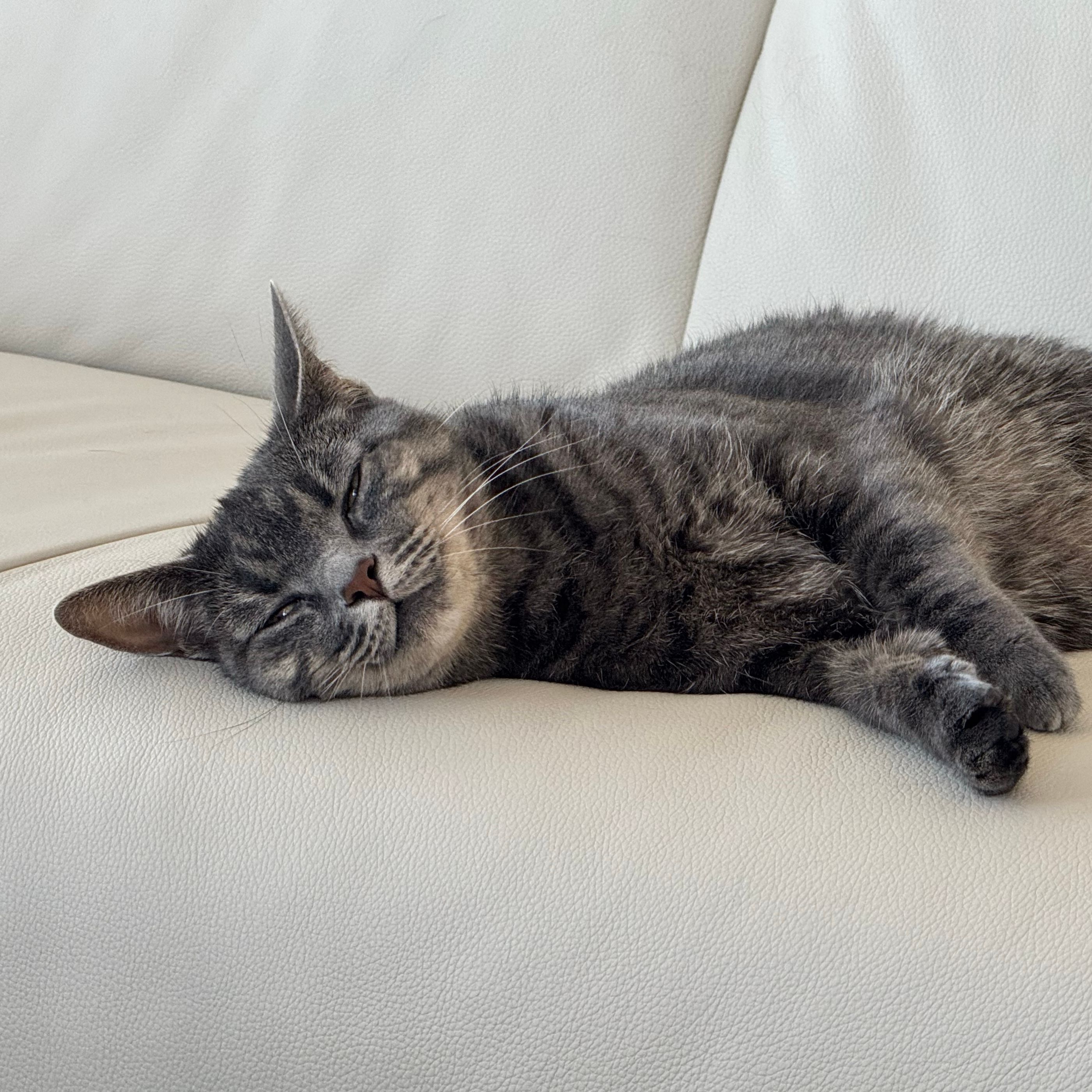 Lili