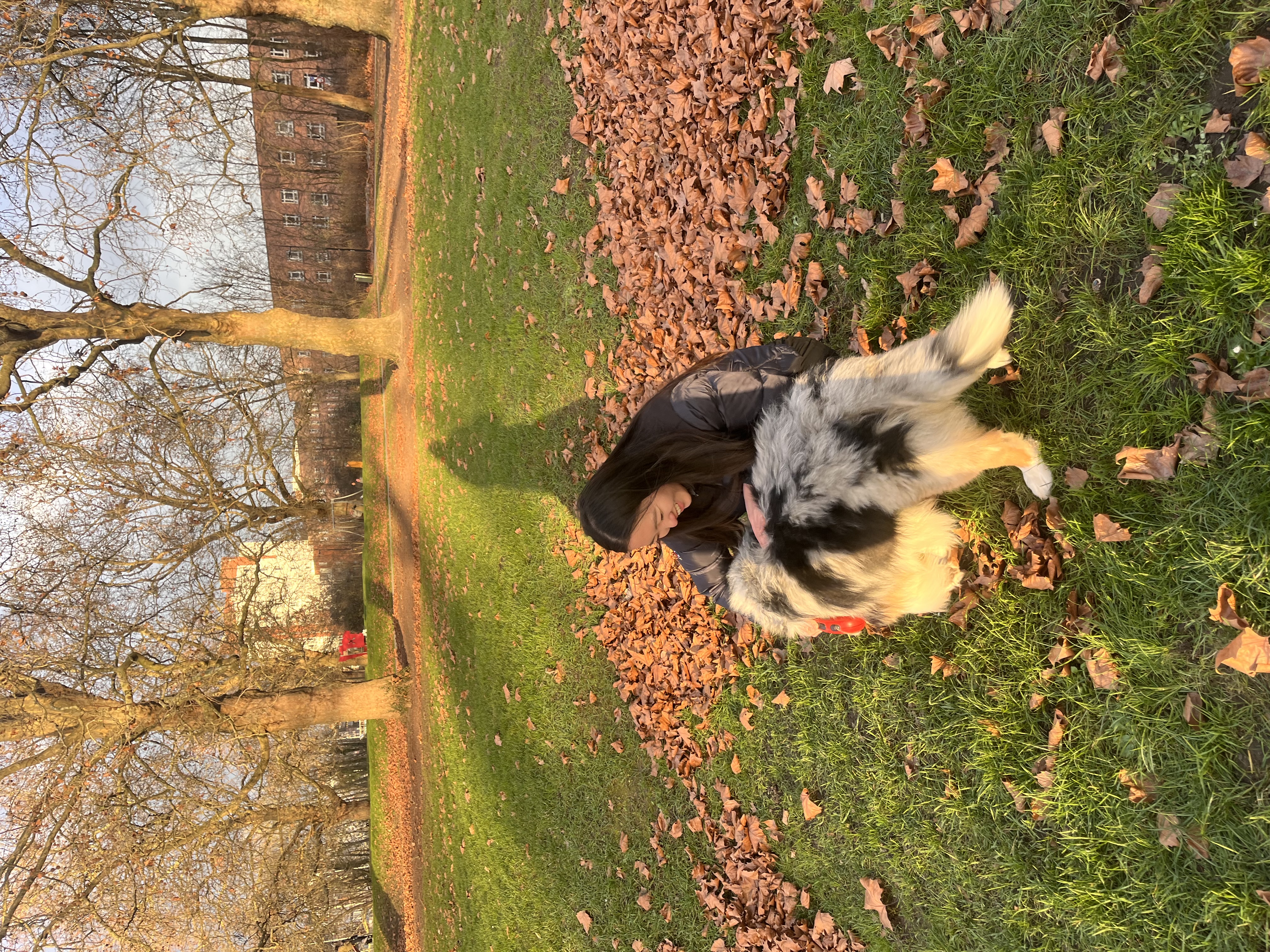 image-7