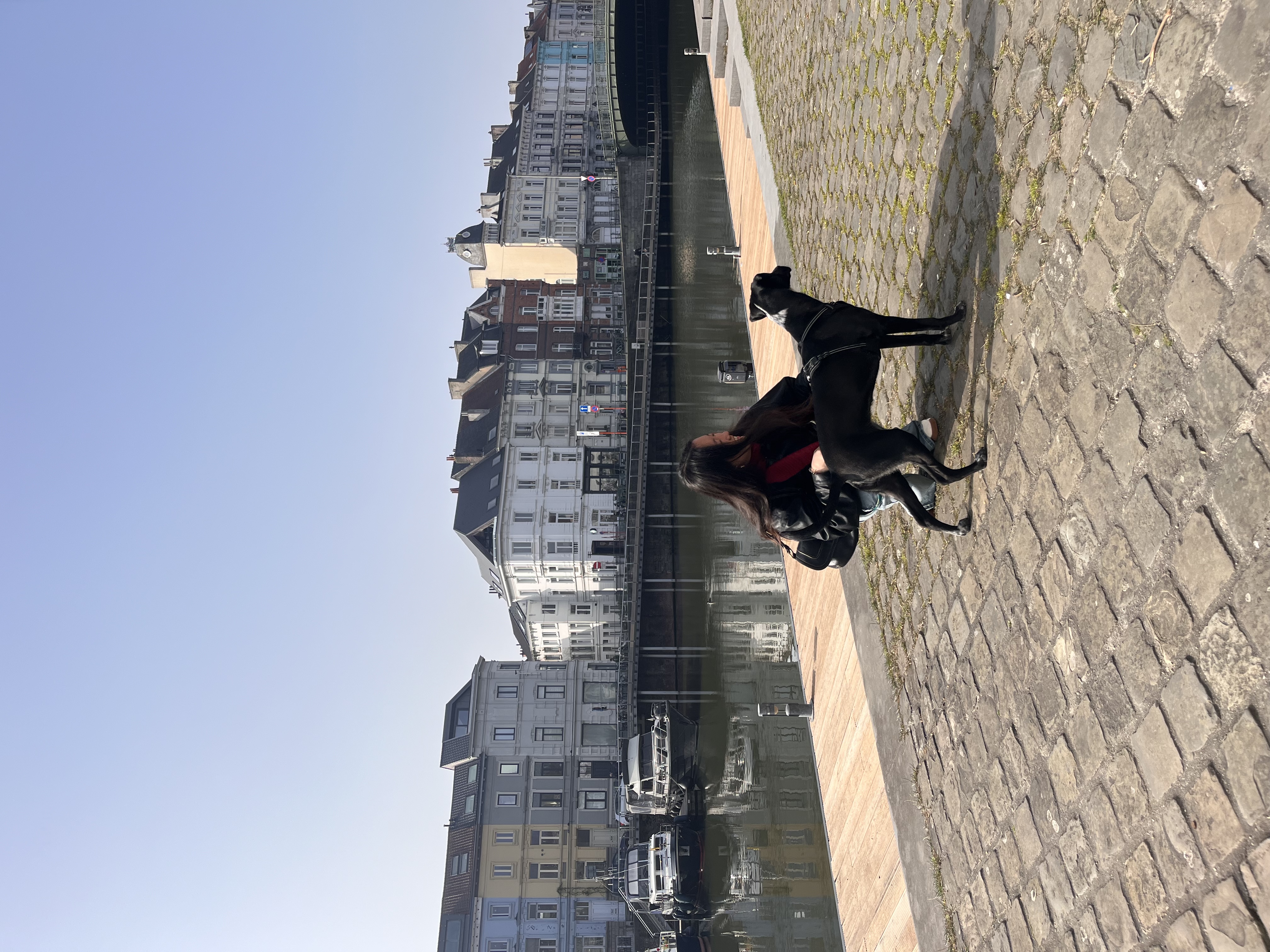 image-21