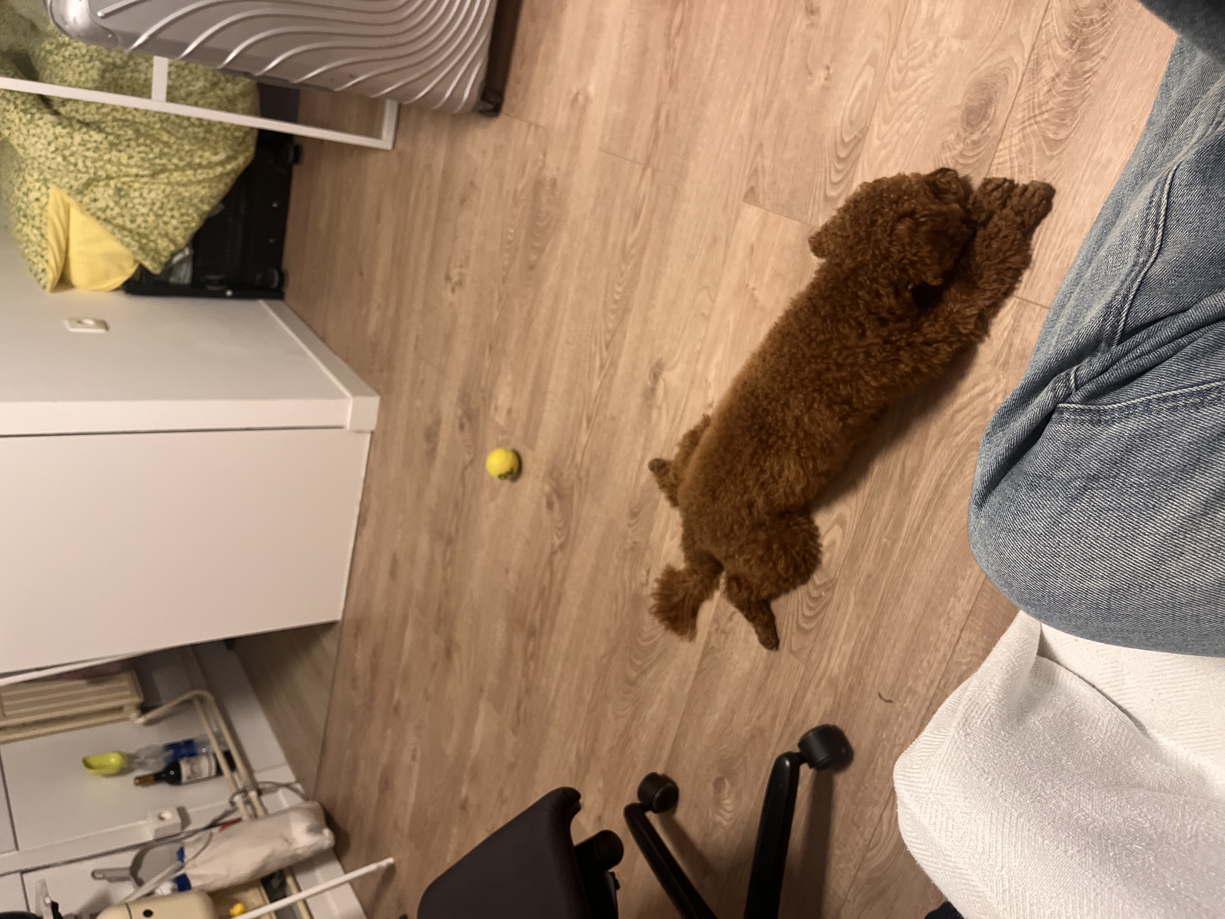 image-18