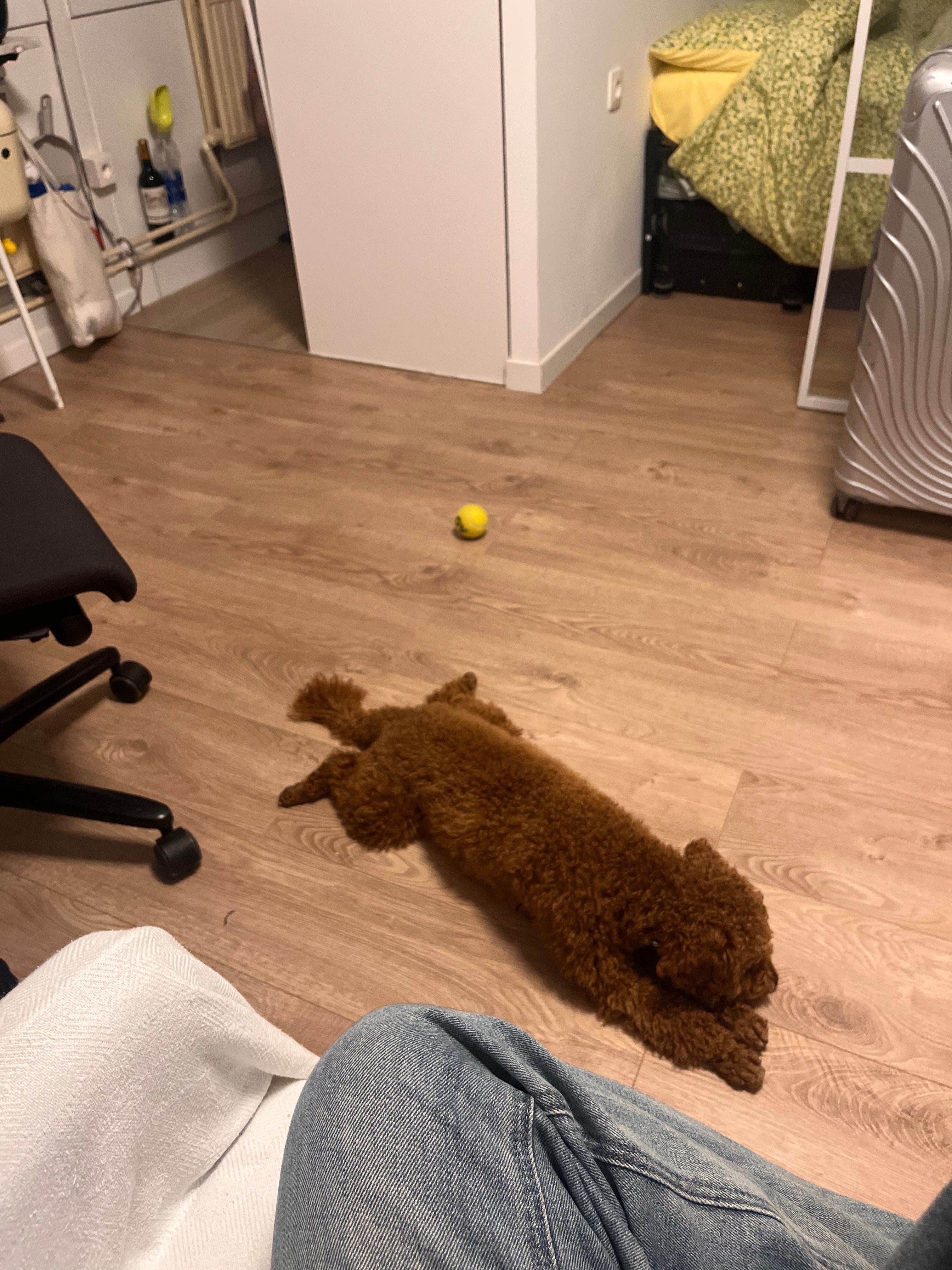image-18