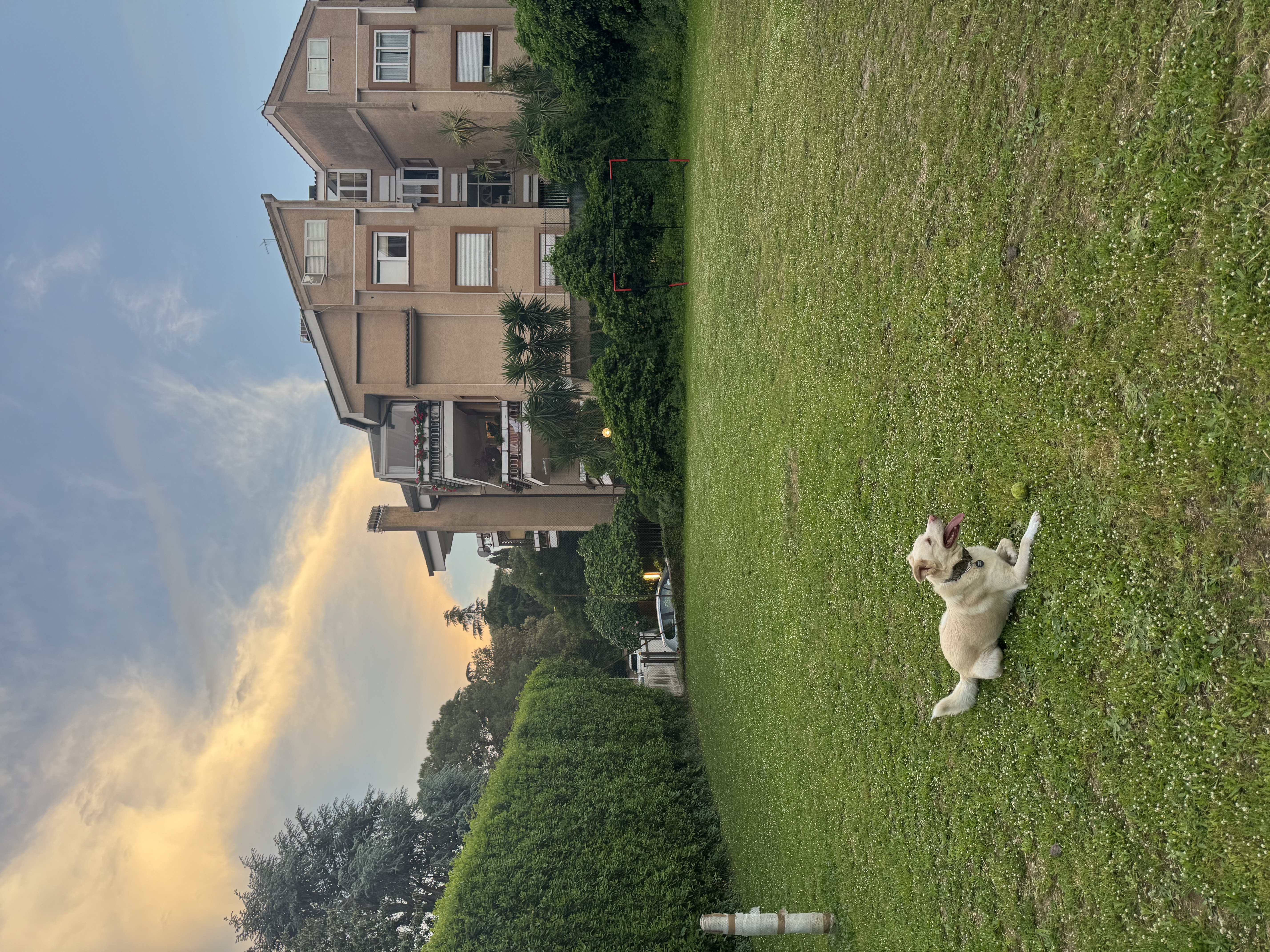 image-5