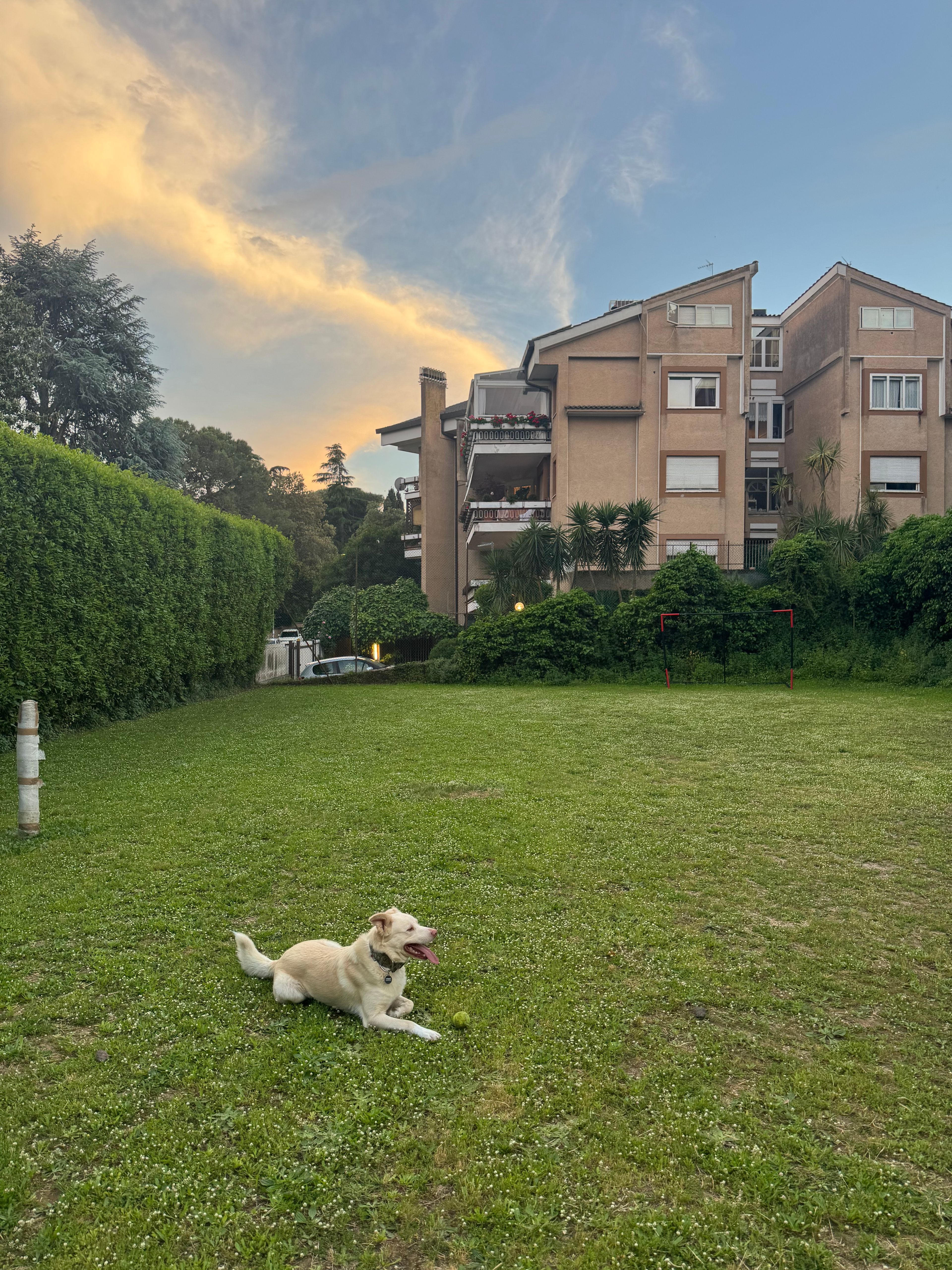 image-5