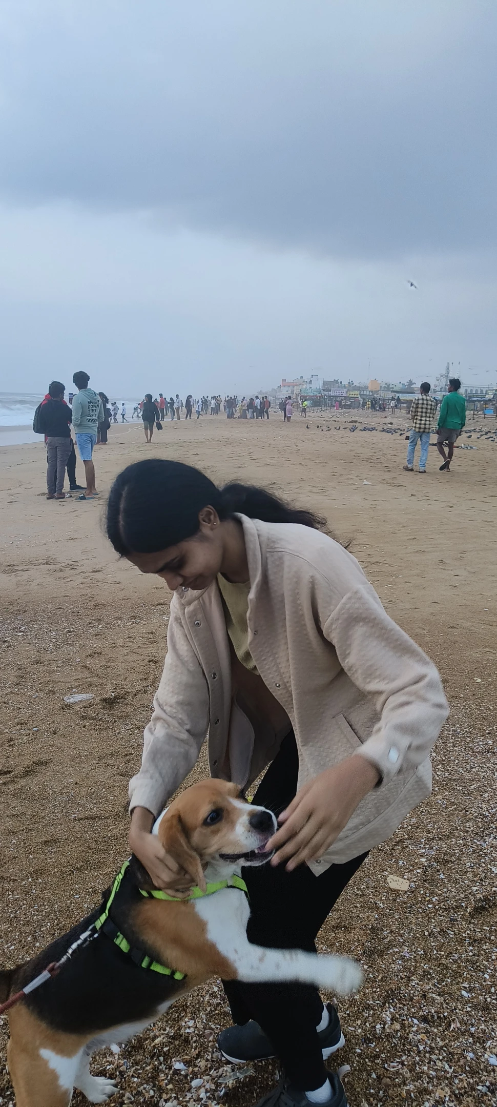 image-5