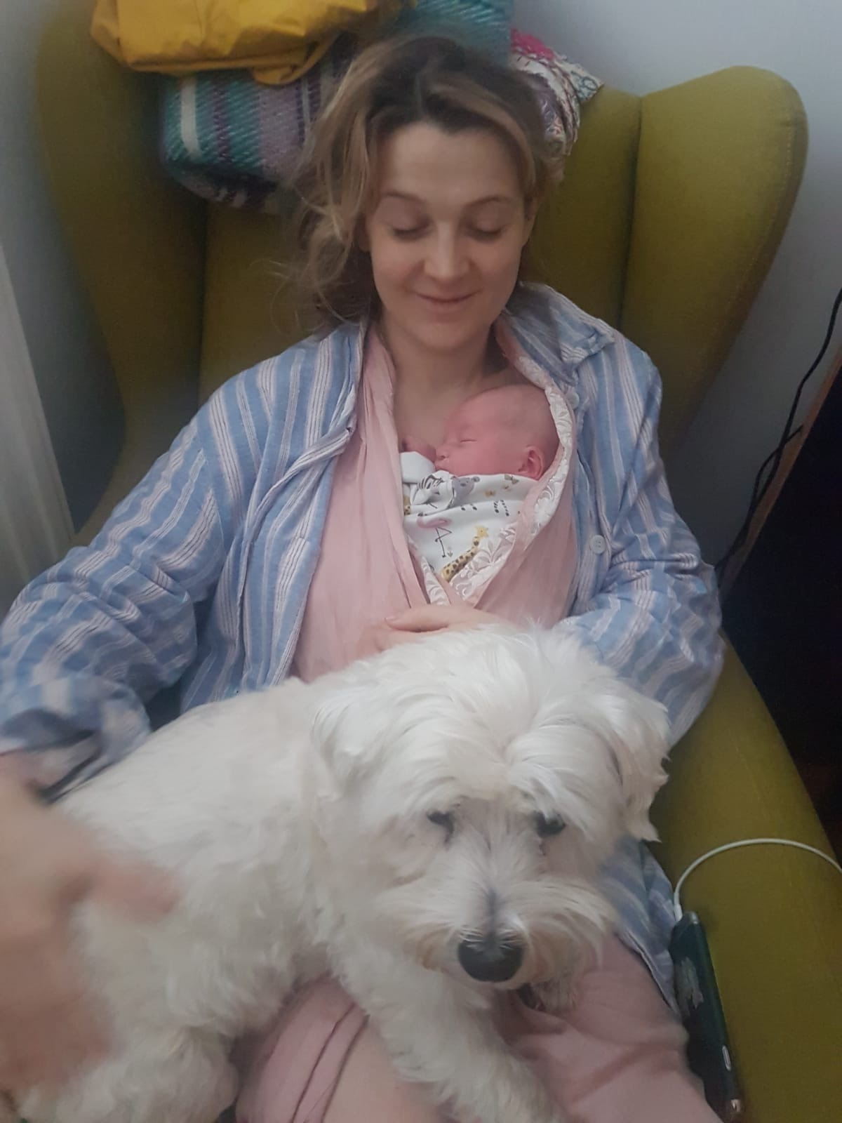 image-1