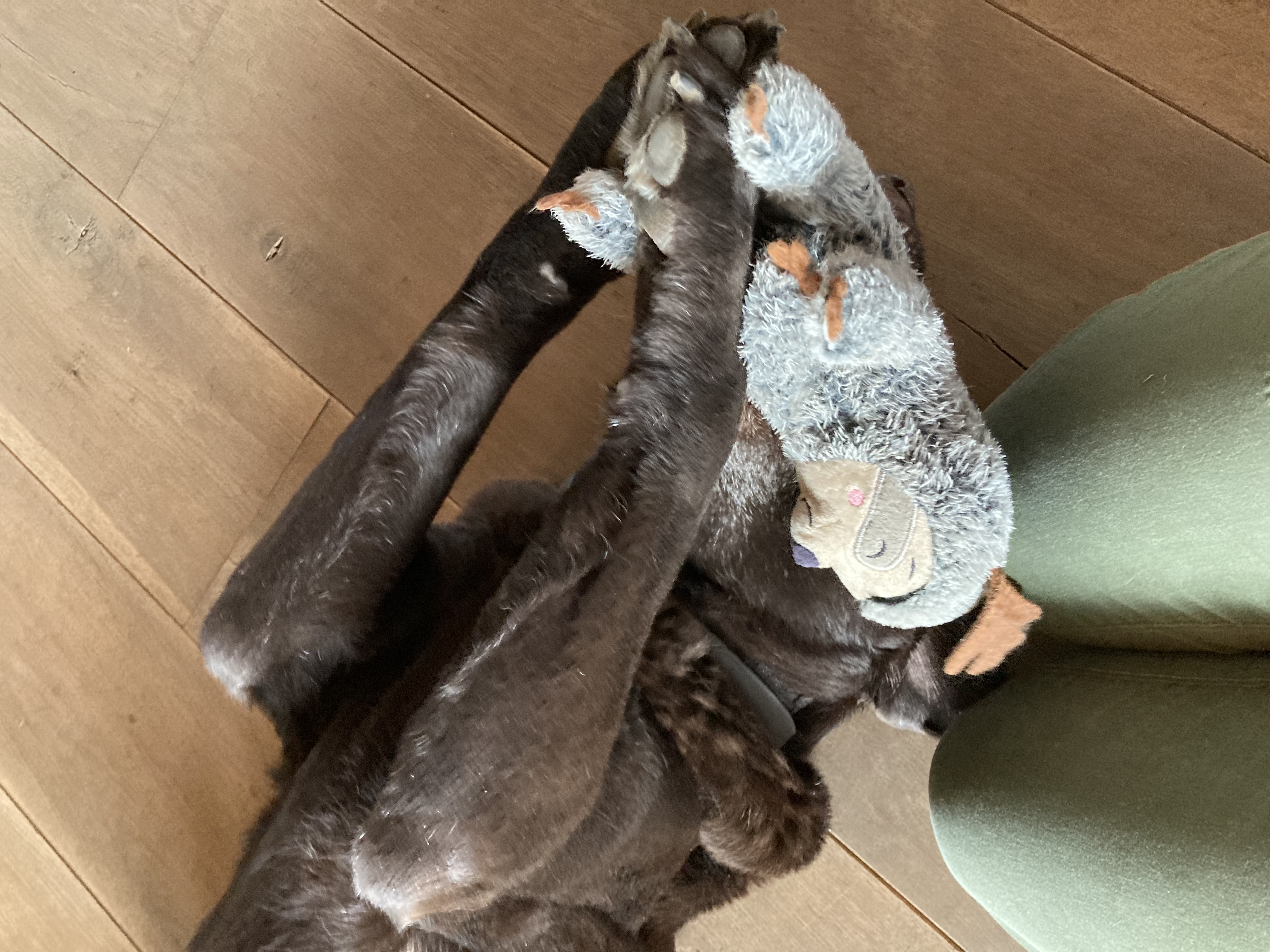 image-8