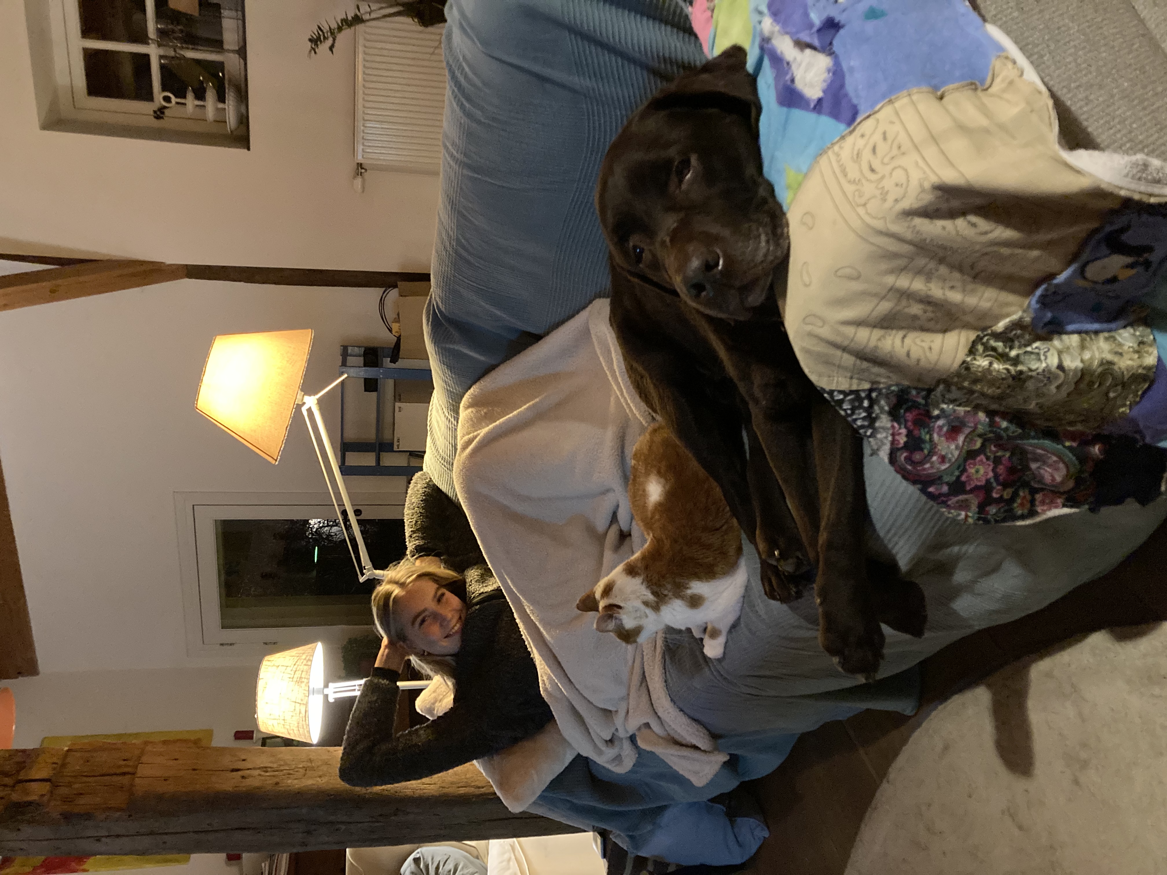 image-10