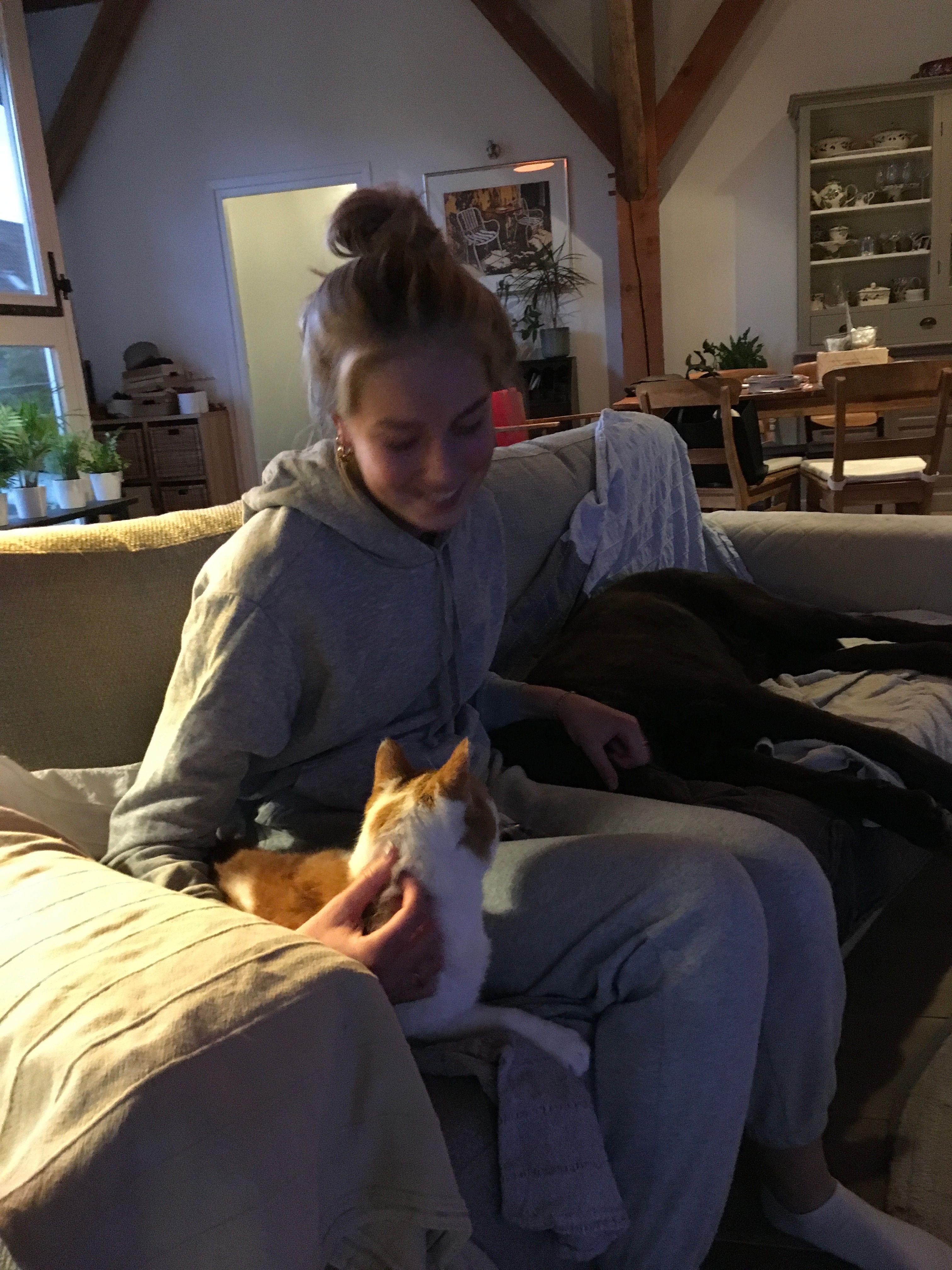 image-14