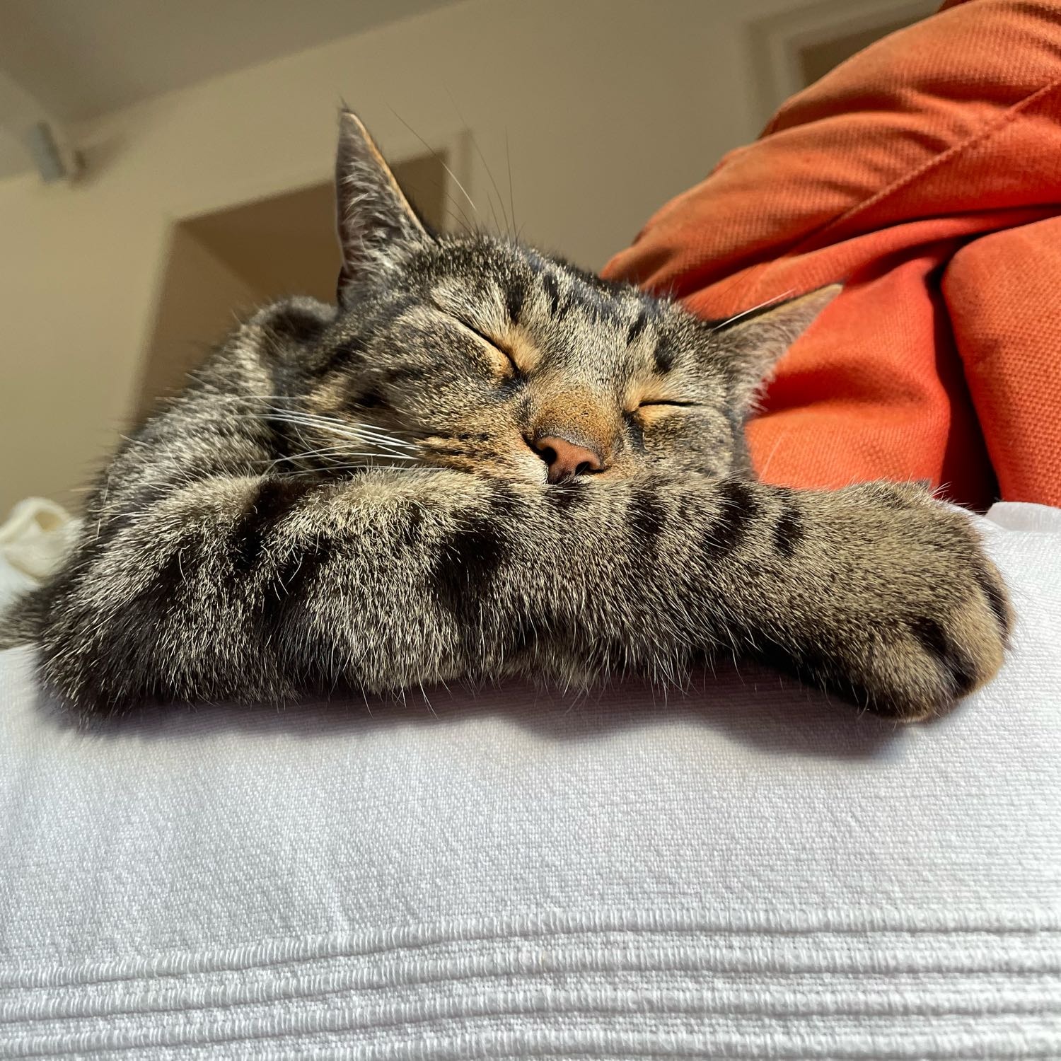 Eliott